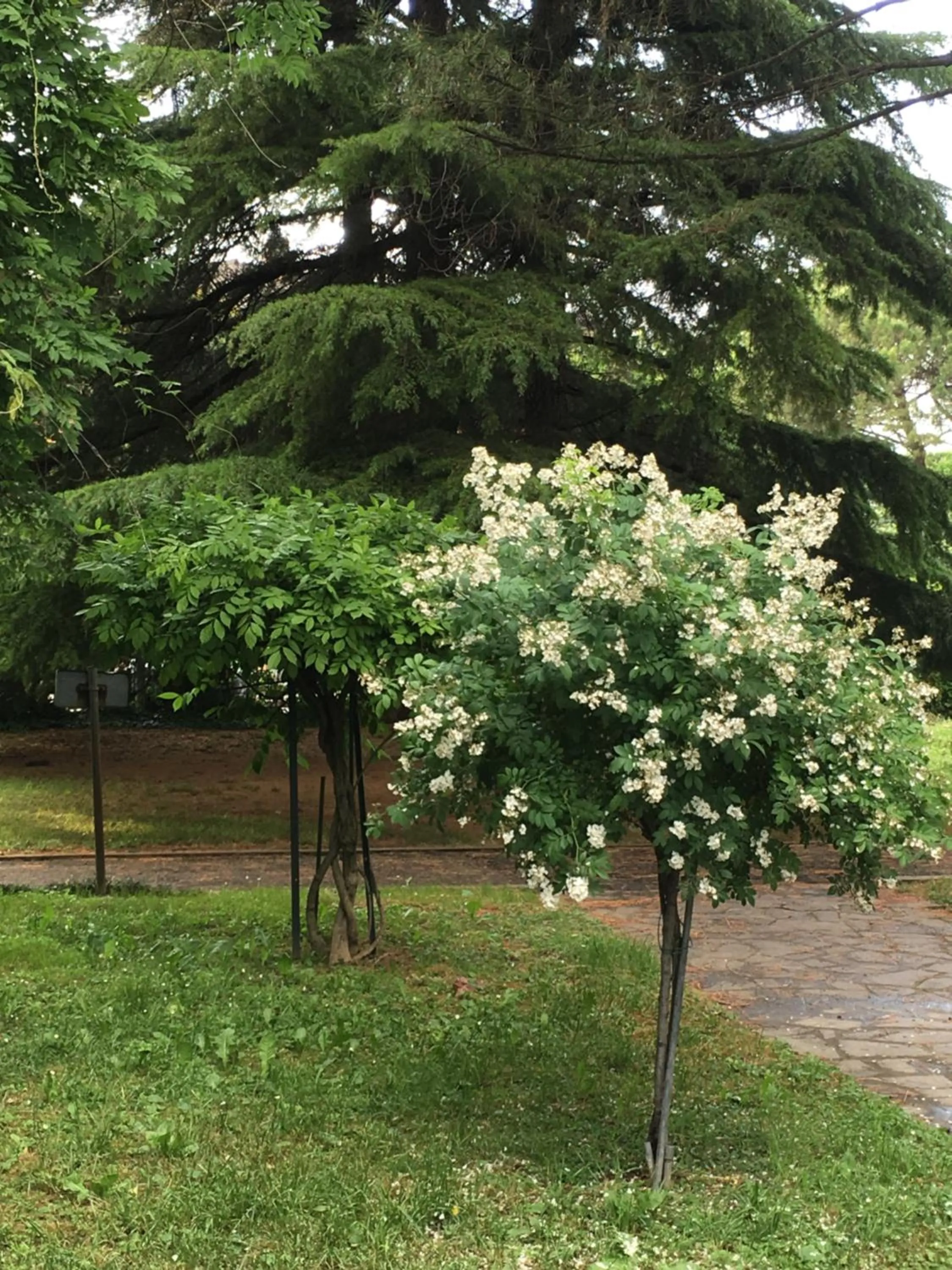 Property building in Bed and Breakfast Bio Salix