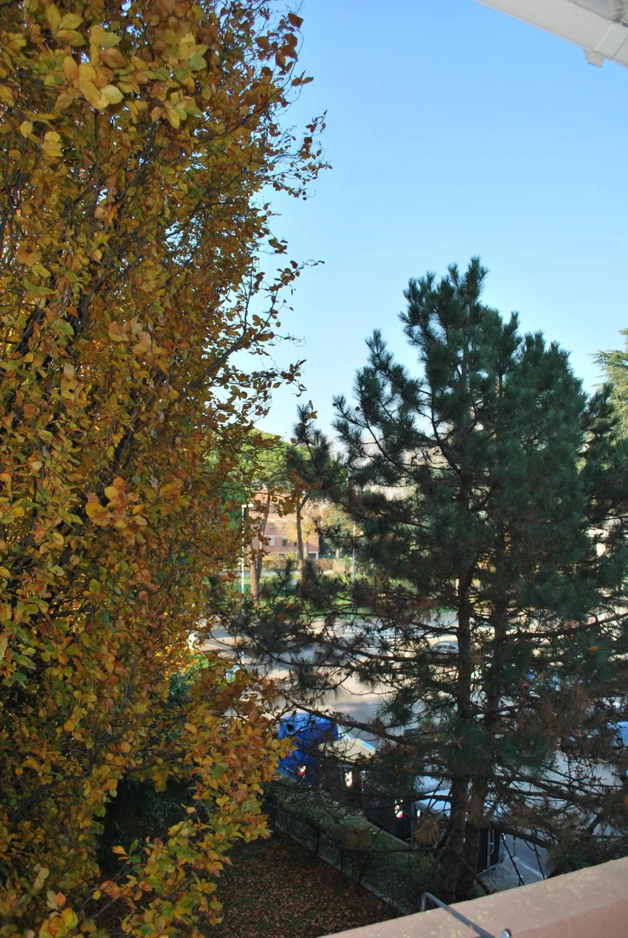 Bed and Breakfast Bio Salix