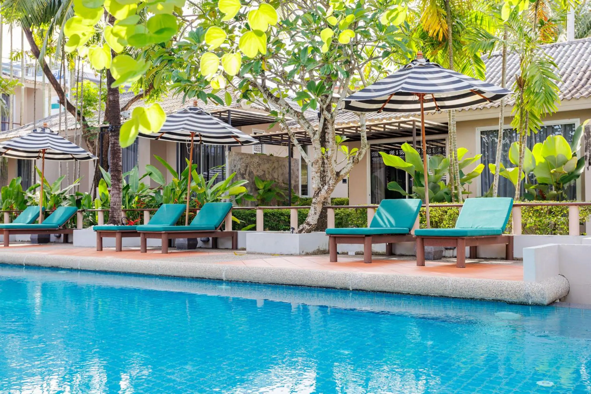 Swimming pool in Signature Phuket Resort