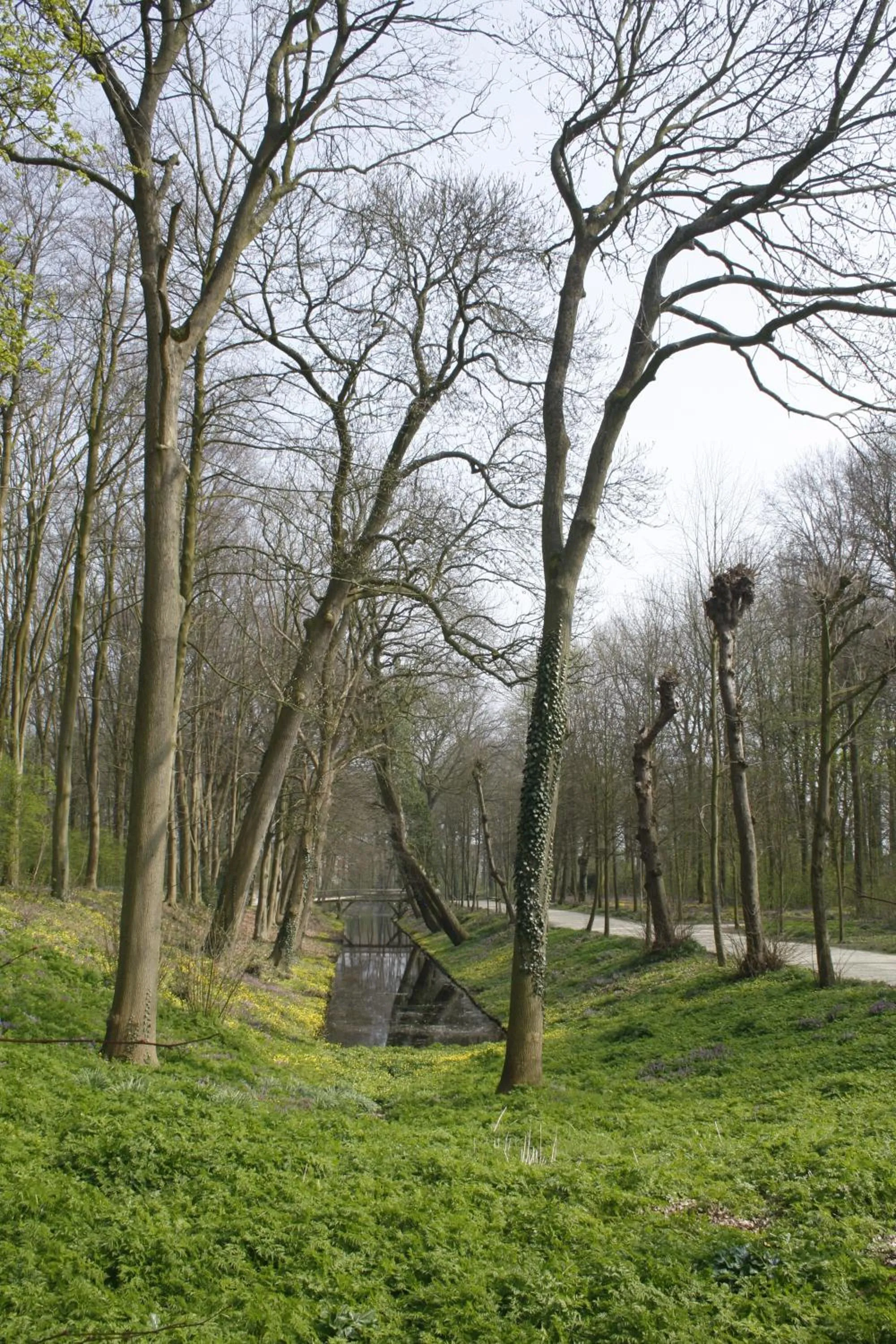 Area and facilities in Stadspaleis Hotel & Restaurant OldRuitenborgh