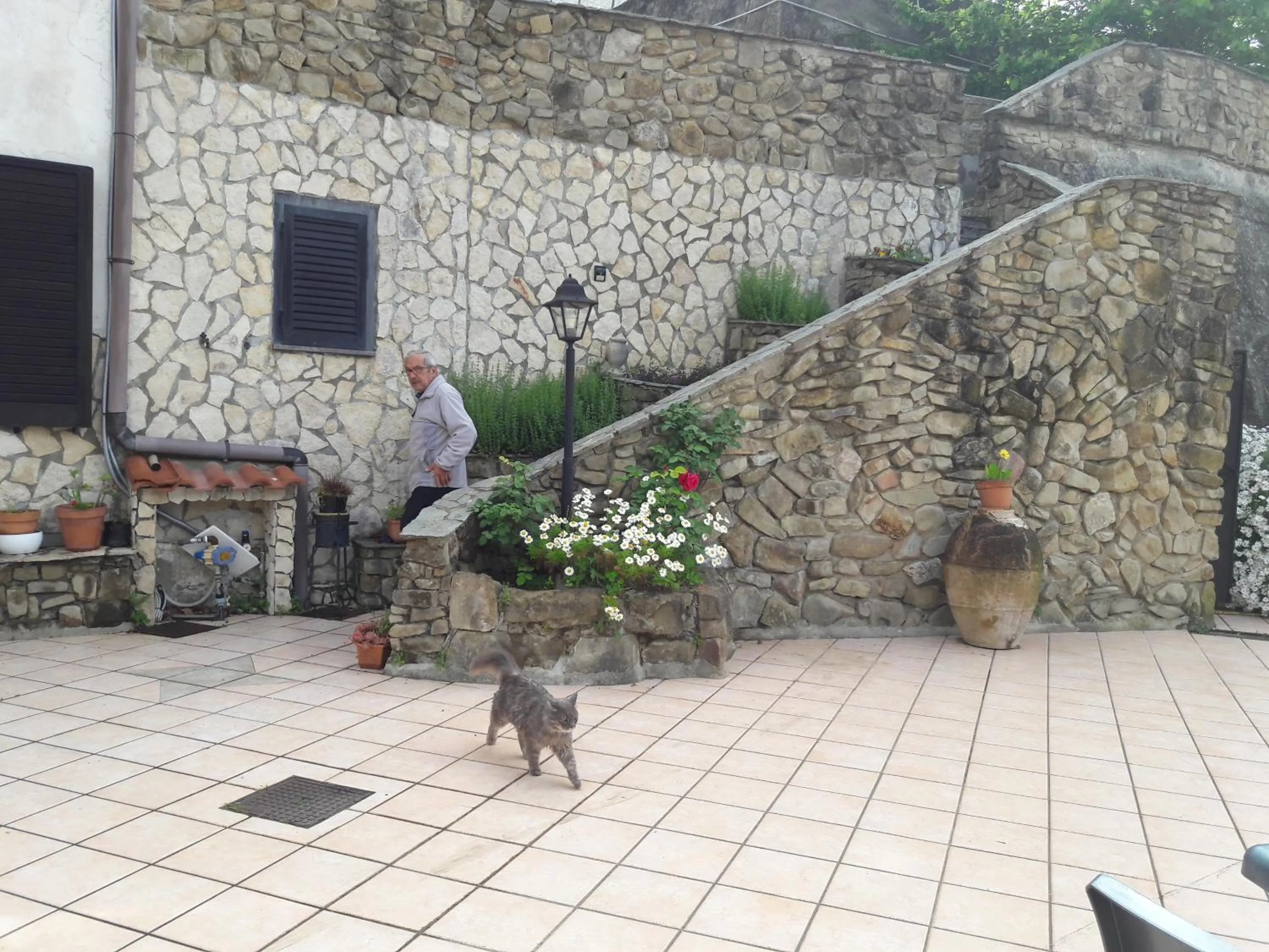 Property building in La vecchia fattoria