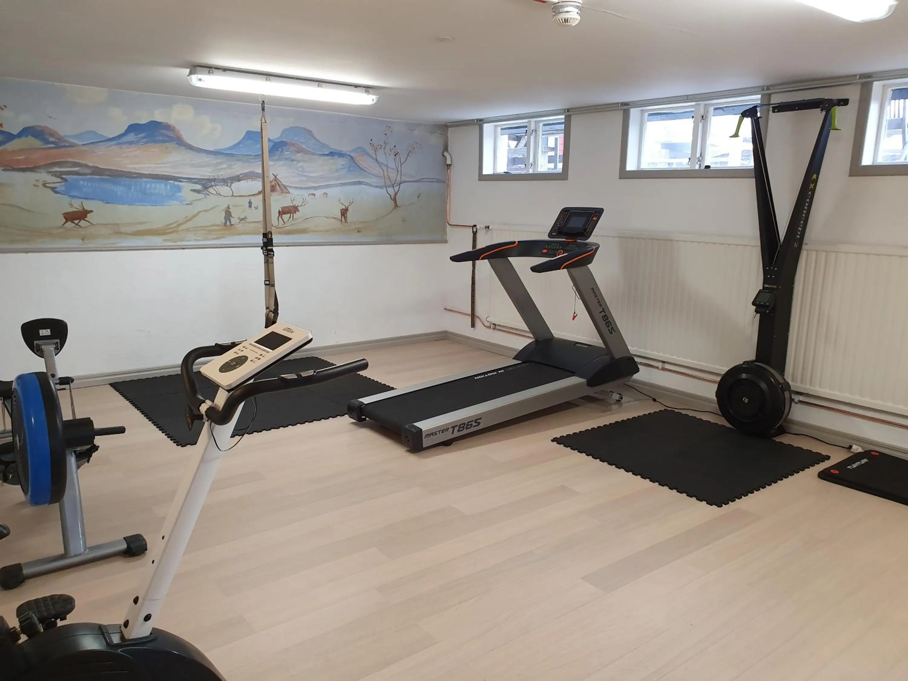 Fitness centre/facilities in Millestgården Eco lodge