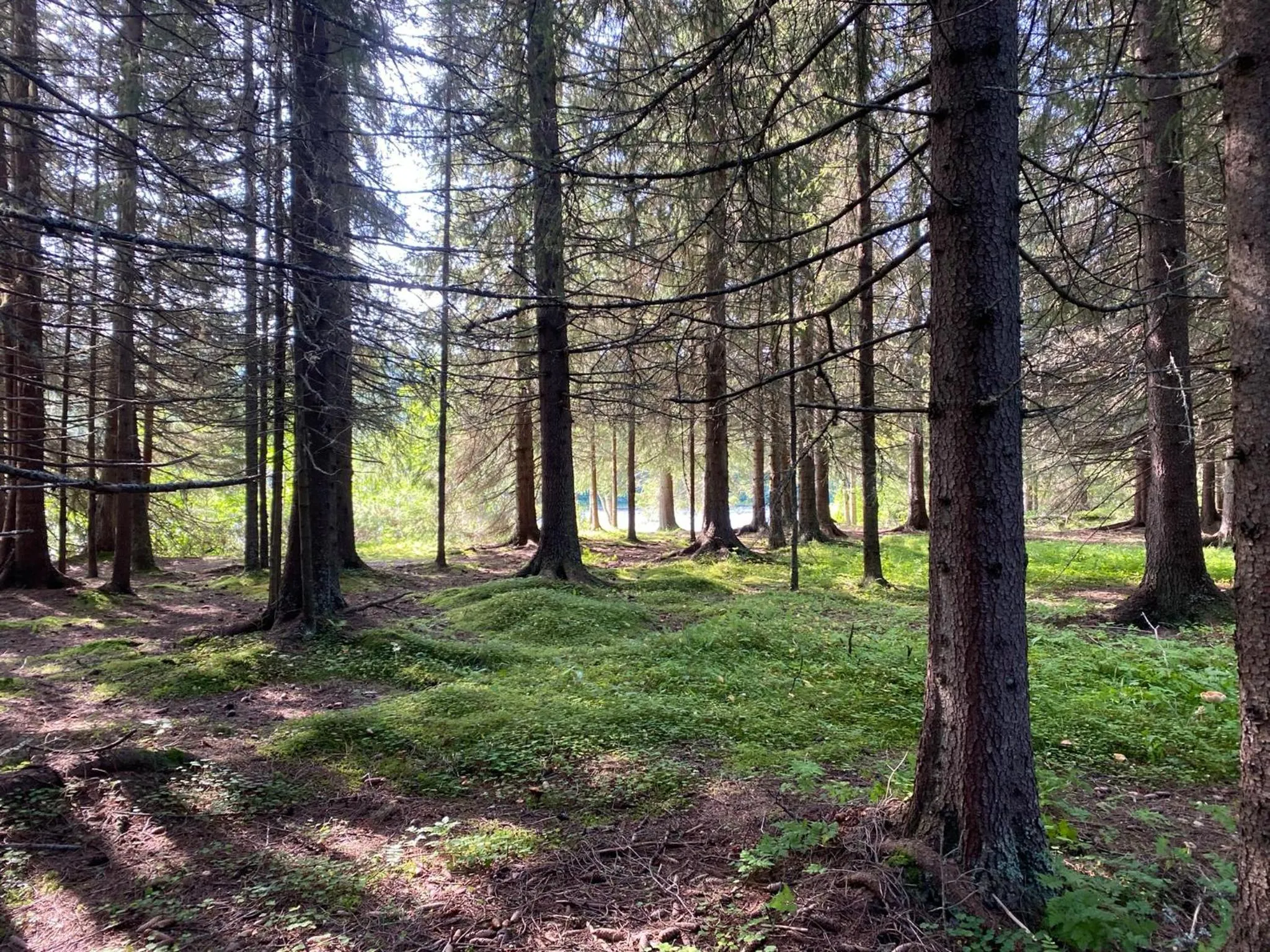 Fishing in Millestgården Eco lodge