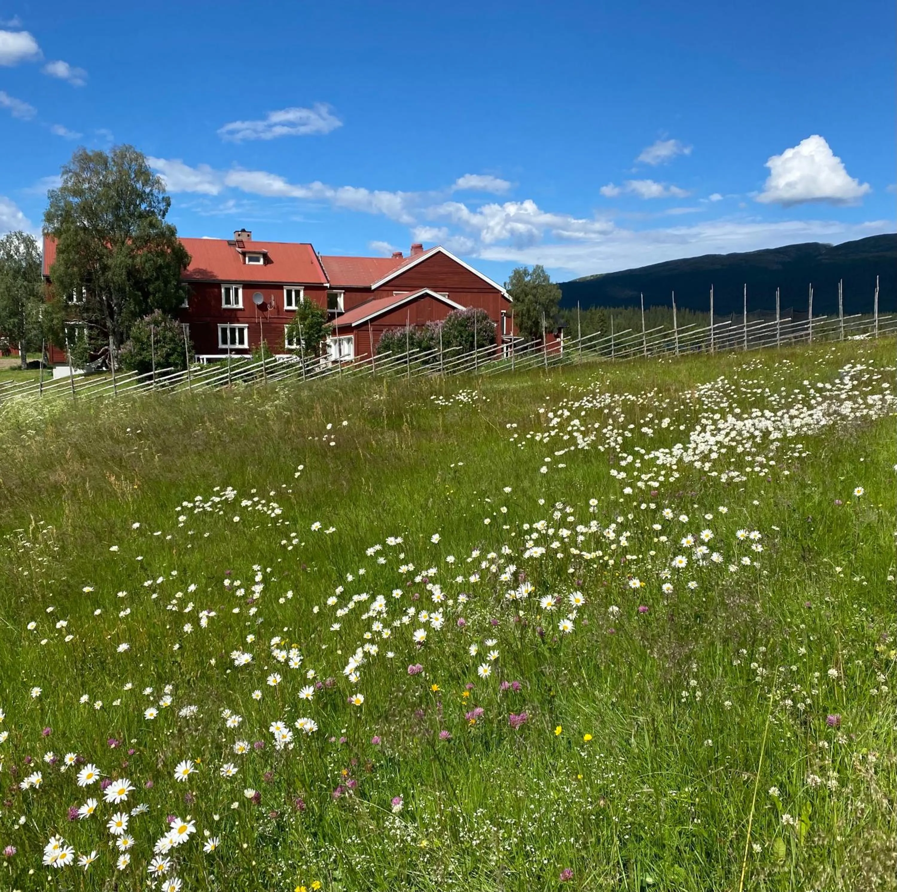 Property building in Millestgården Eco lodge