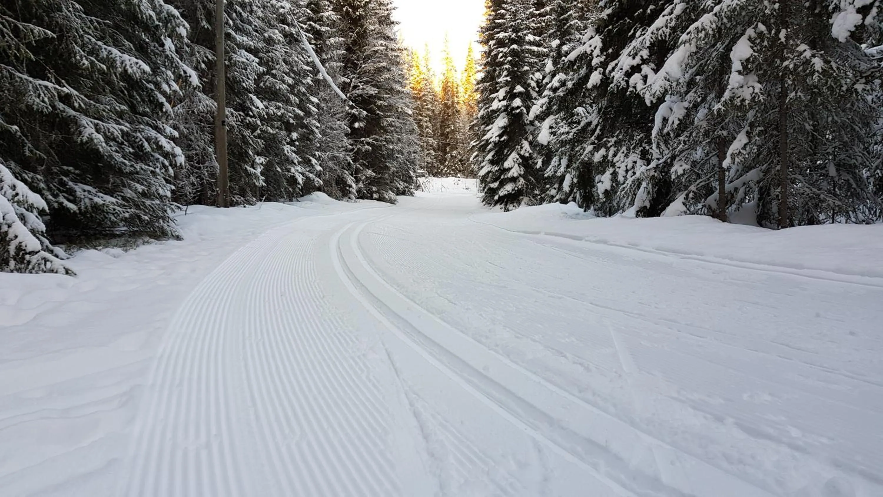 Skiing in Millestgården Eco lodge