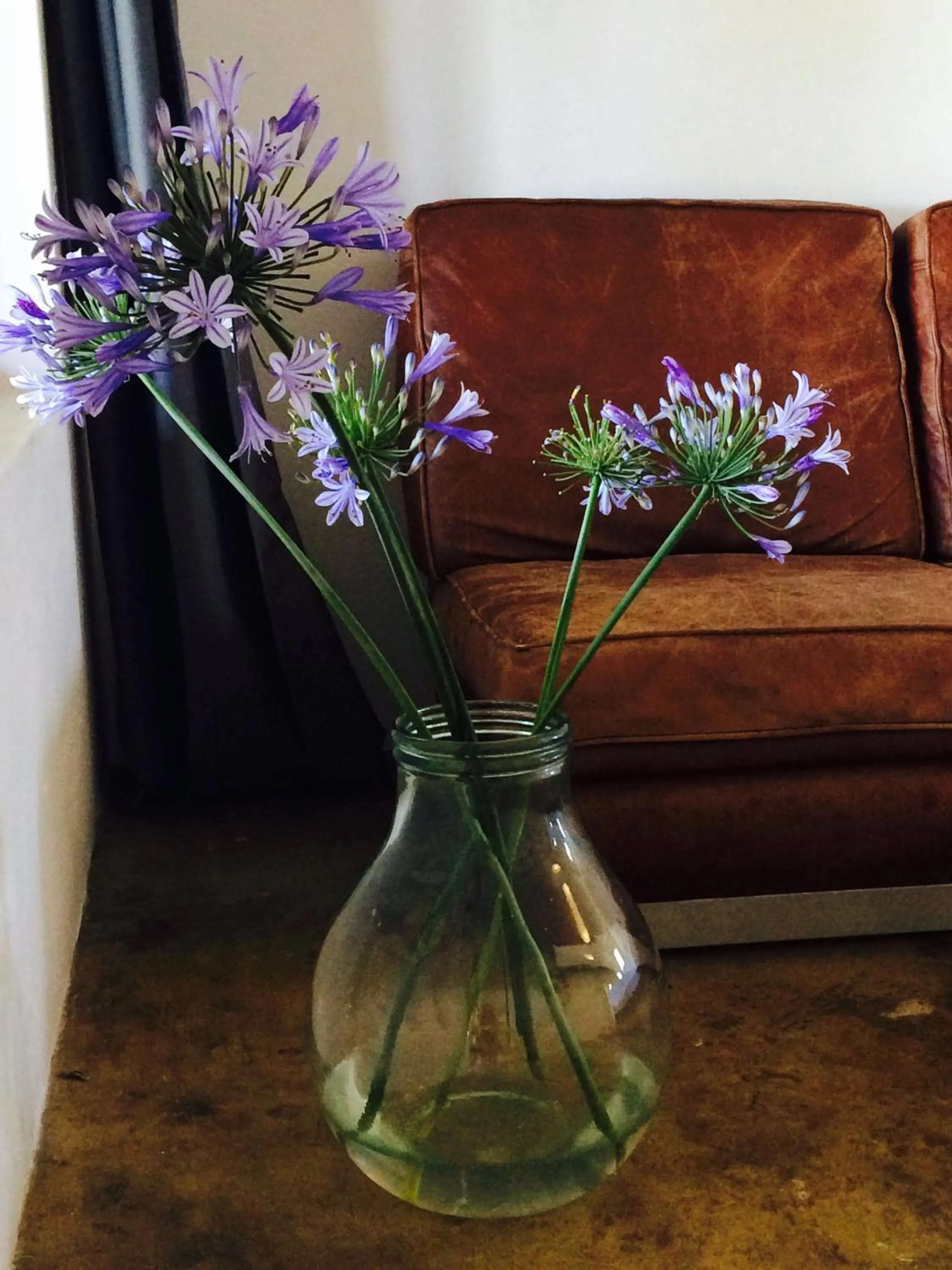 Seating area in Seven Fountains Farm