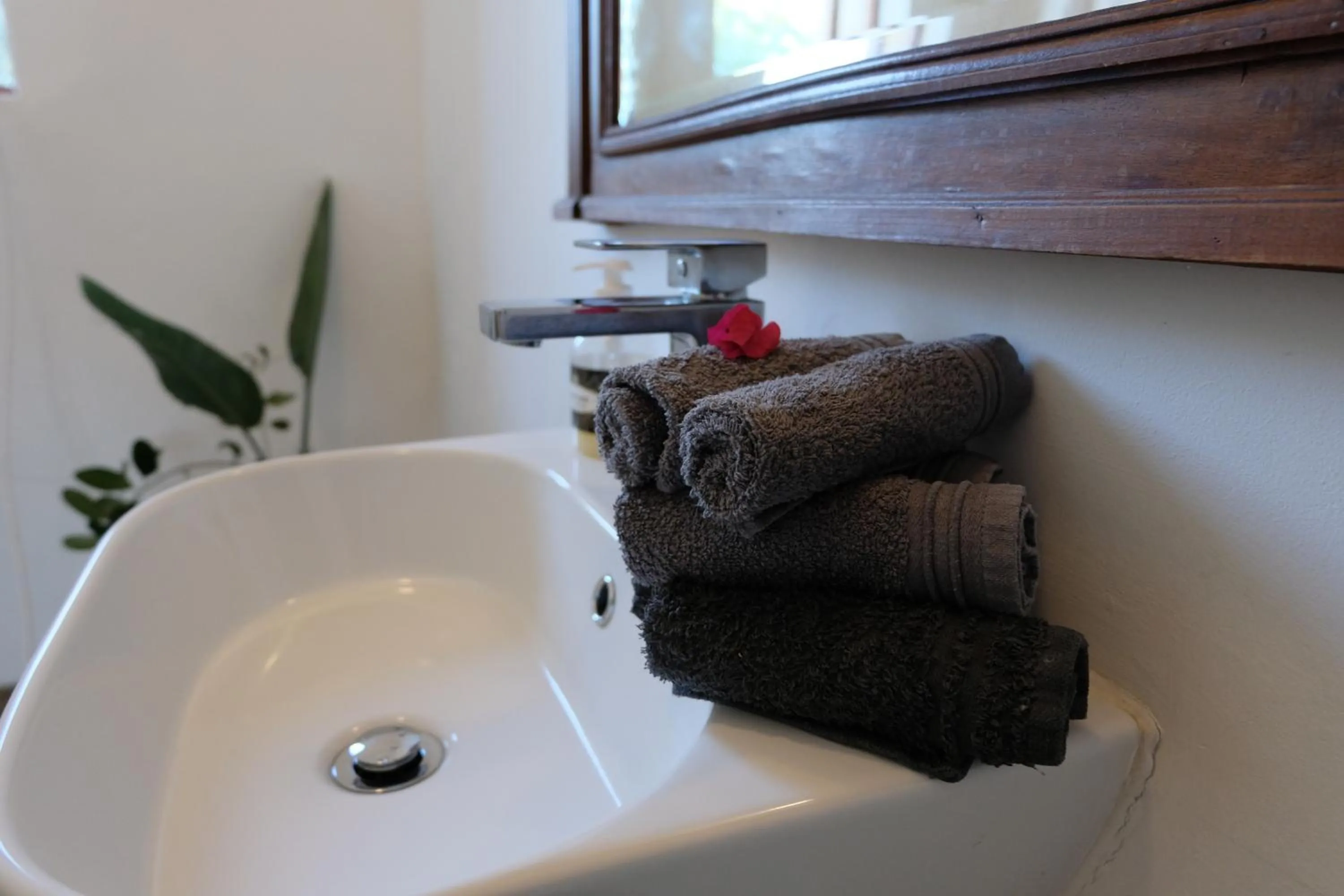 Toilet in Seven Fountains Farm