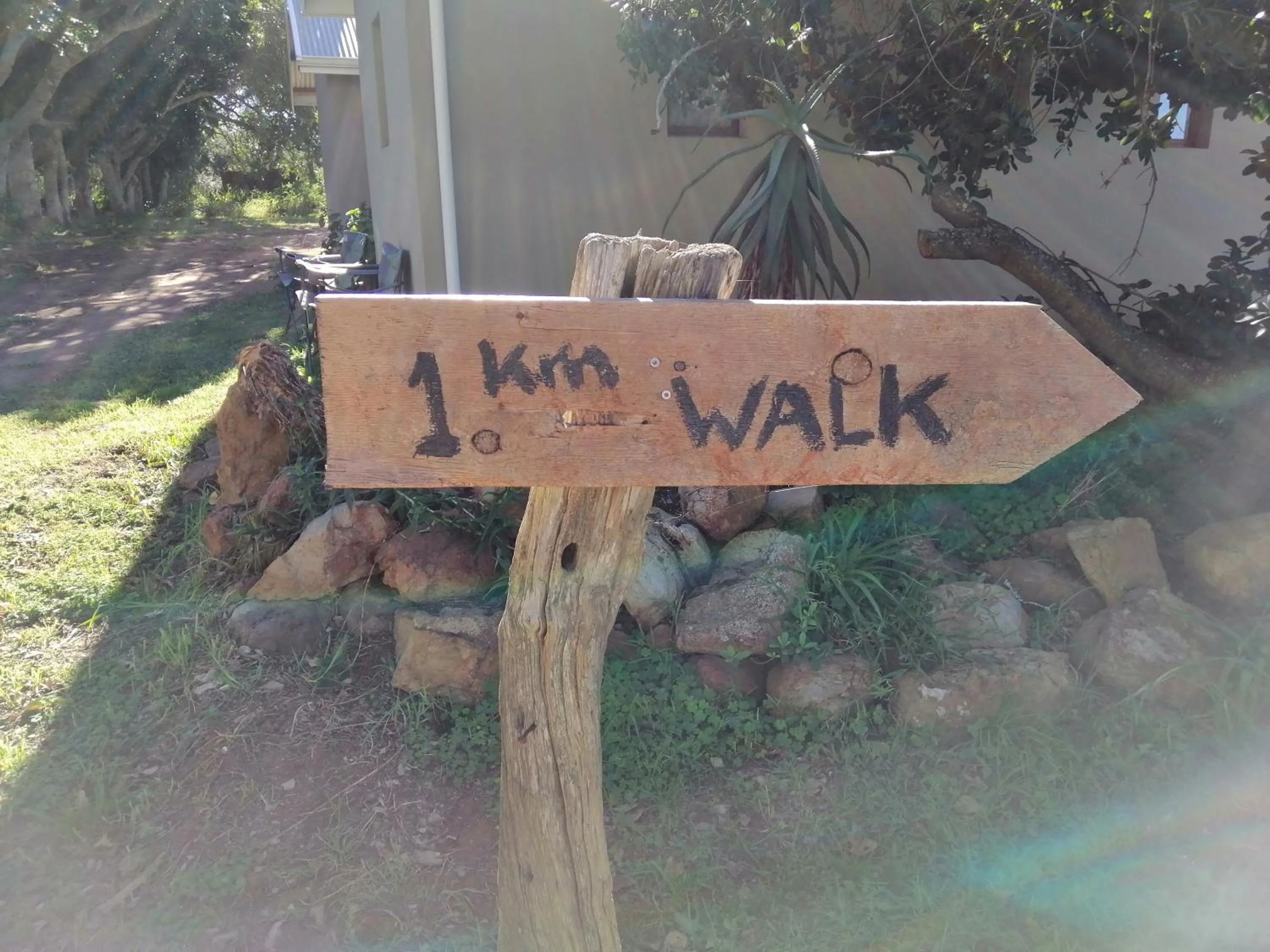 Garden in Seven Fountains Farm