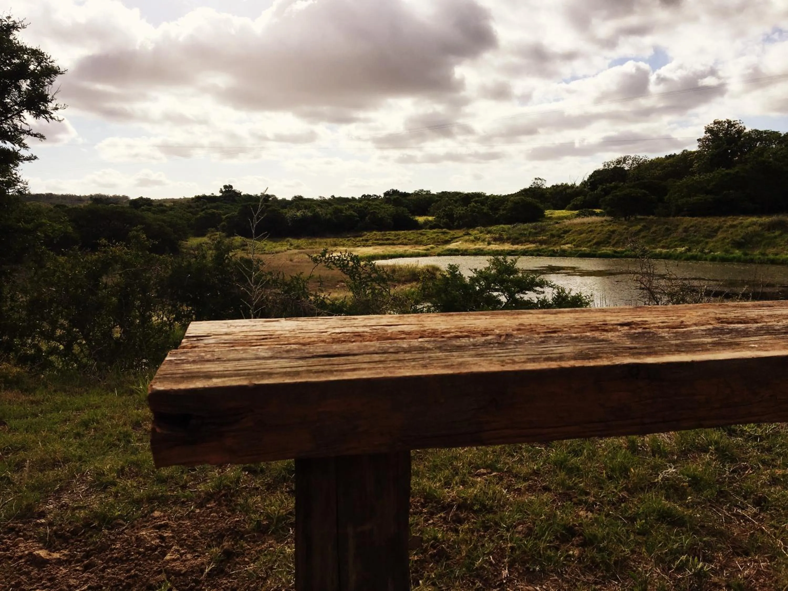 Natural landscape in Seven Fountains Farm