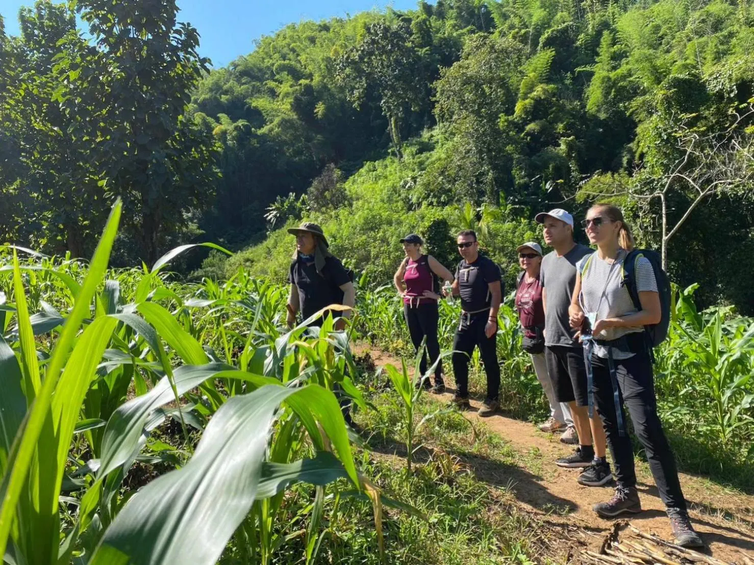 Baan Soontree Resort