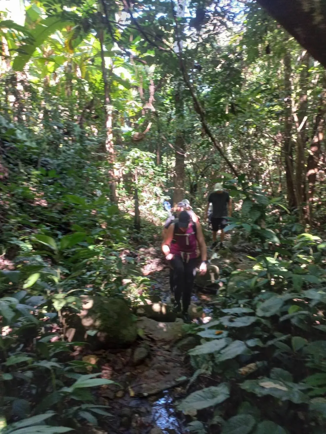 Hiking in Baan Soontree Resort