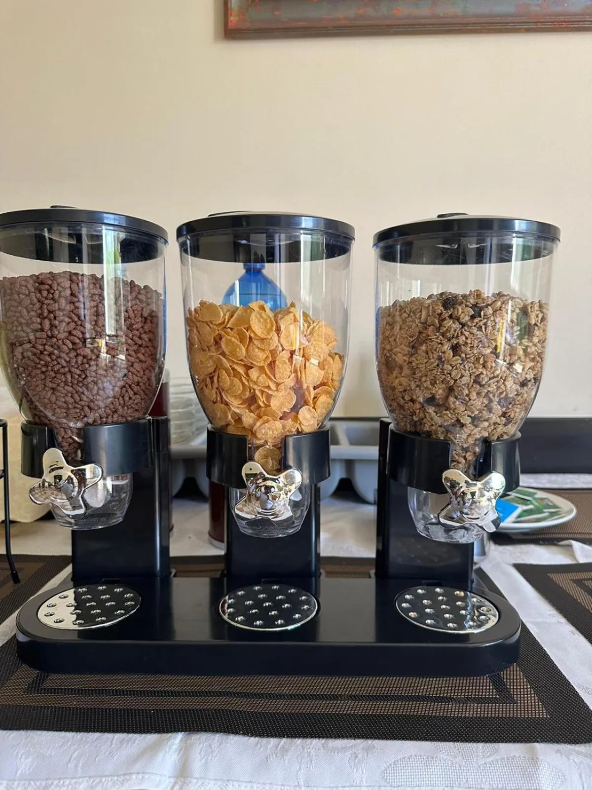 Hotel Raffaello Venice