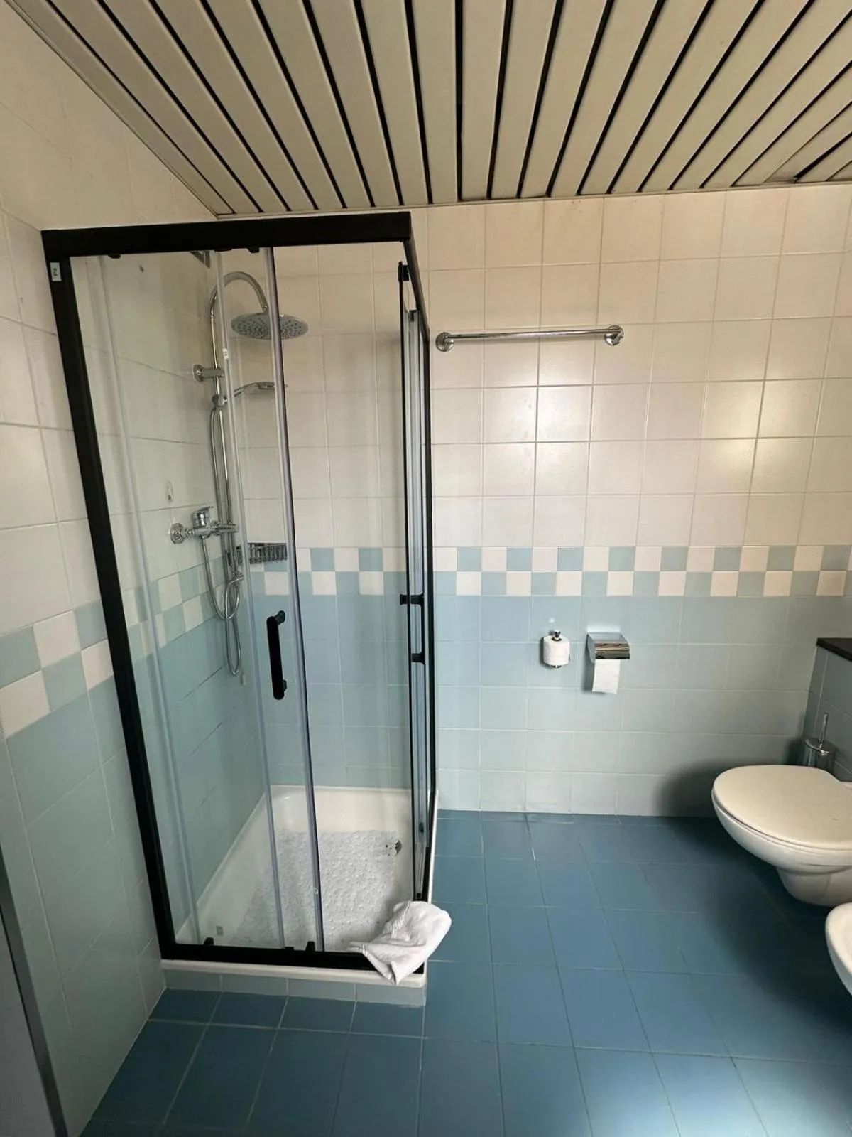 Hotel Raffaello Venice