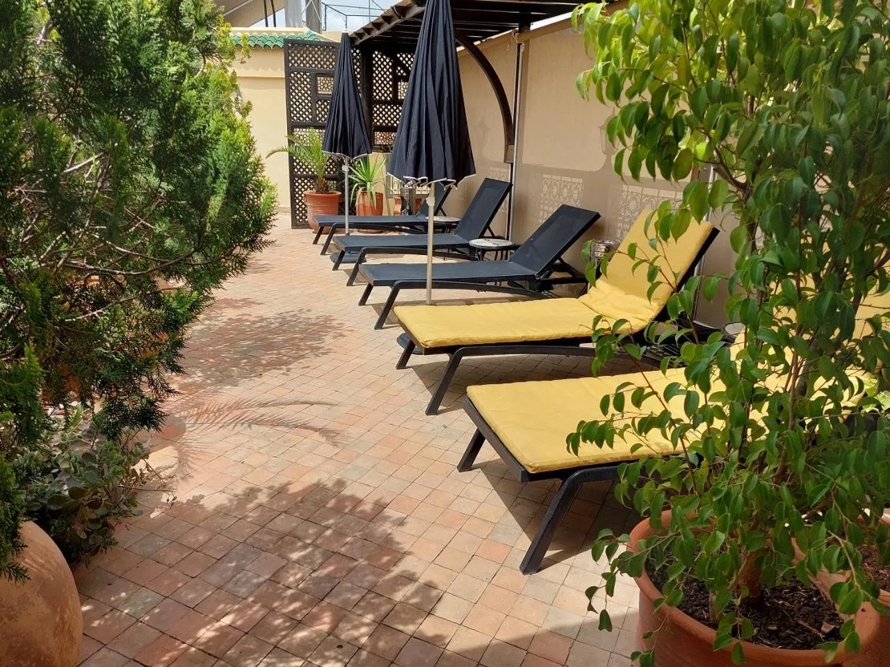 Garden in Riad Andalib