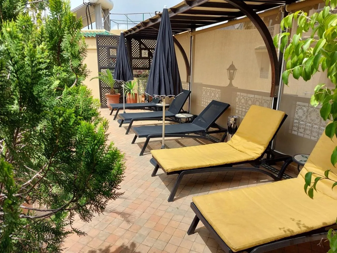 Garden in Riad Andalib