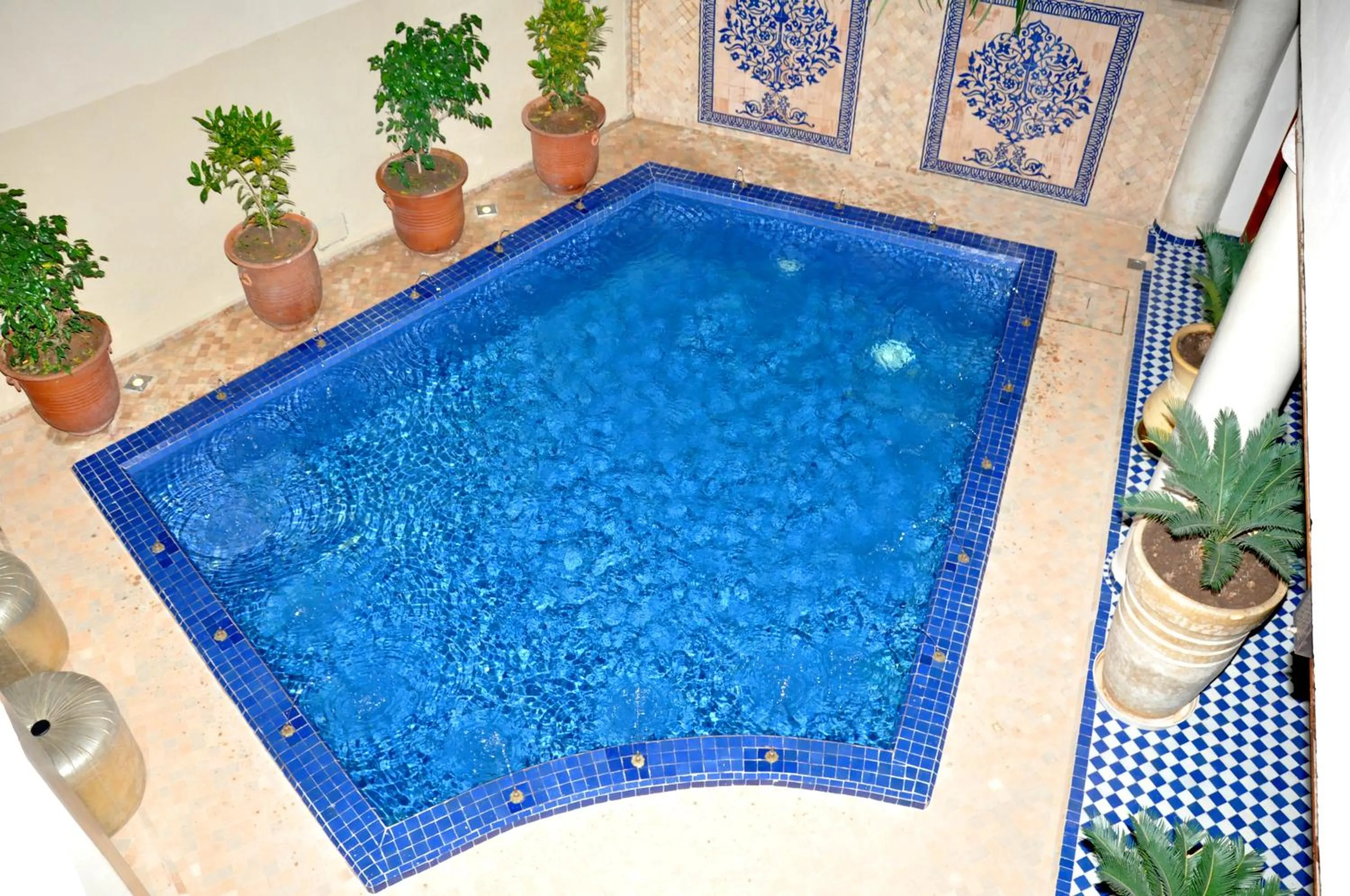 Swimming pool in Riad Andalib