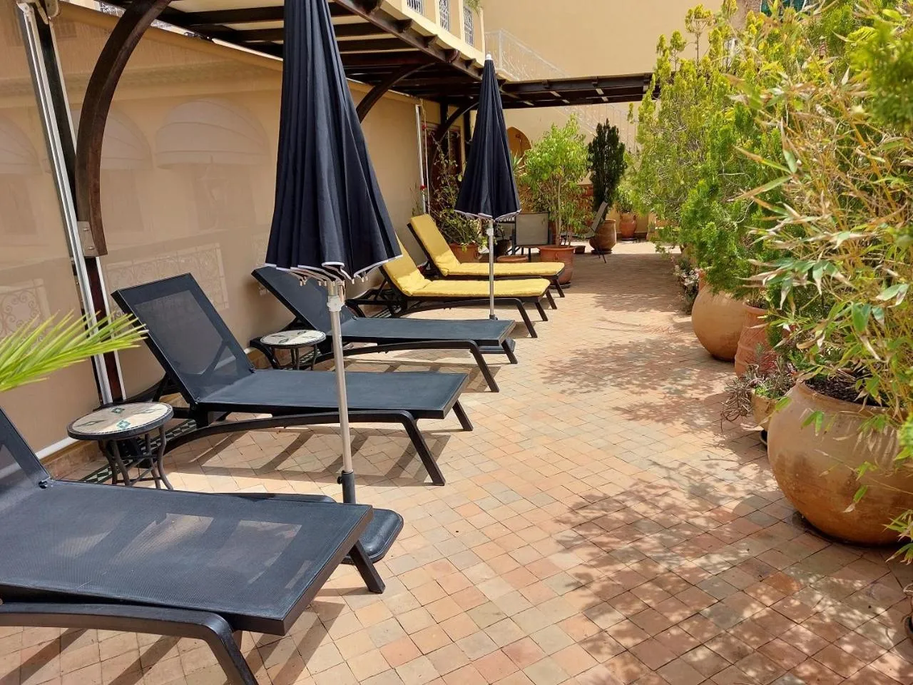 Garden in Riad Andalib