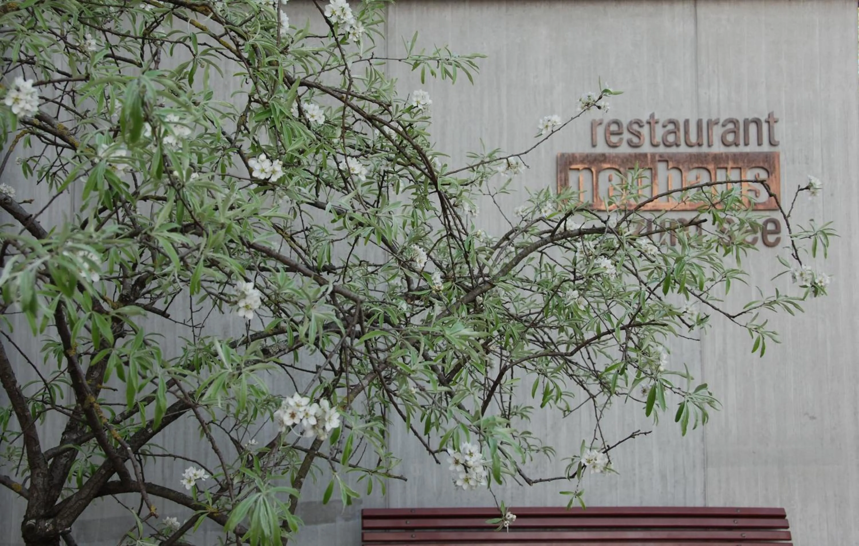 Restaurant/places to eat in Neuhaus Golf- & Strandhotel