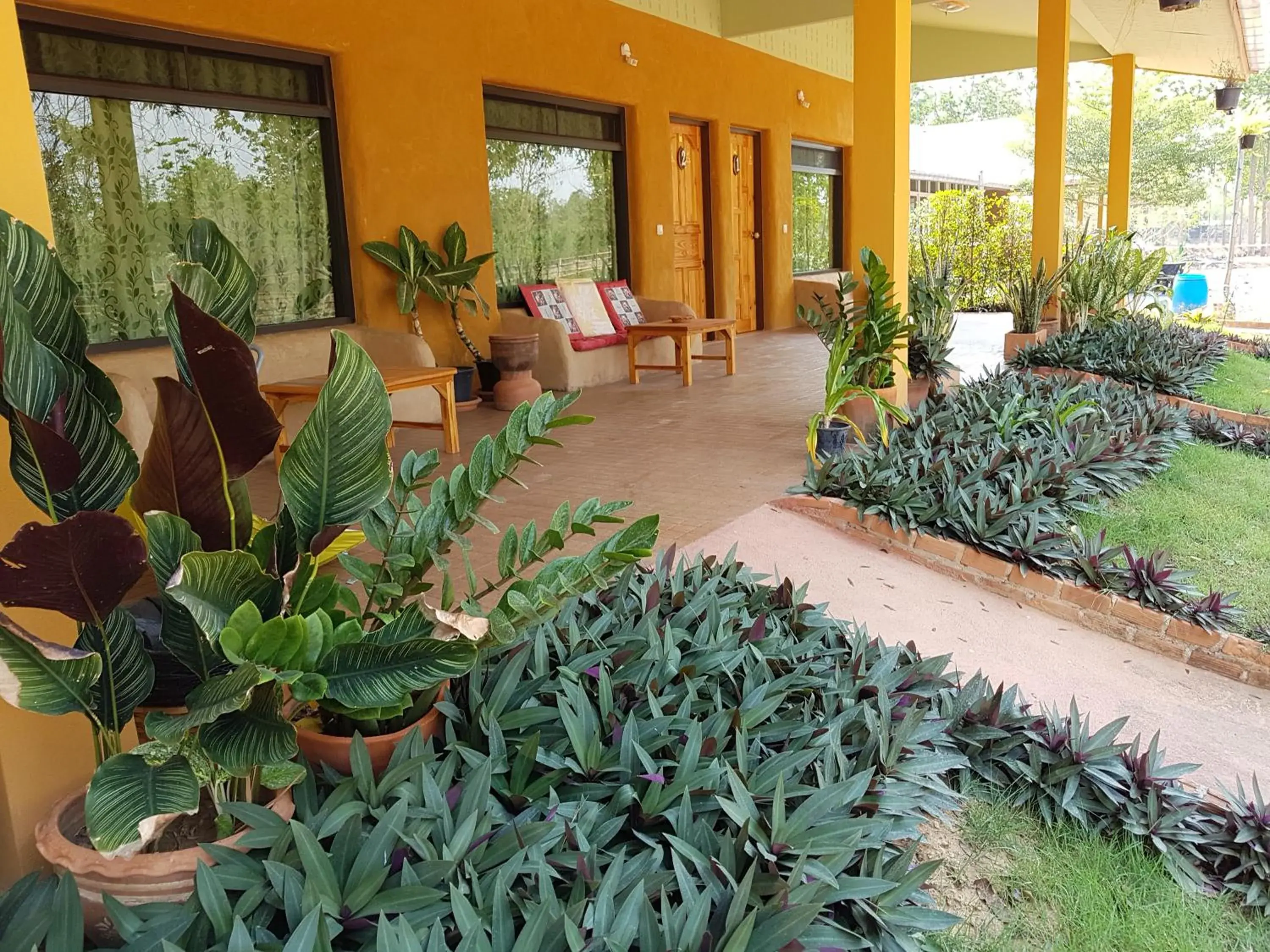 Budget Twin Room in Baandin resort Budget Twin Room in Baandin resort