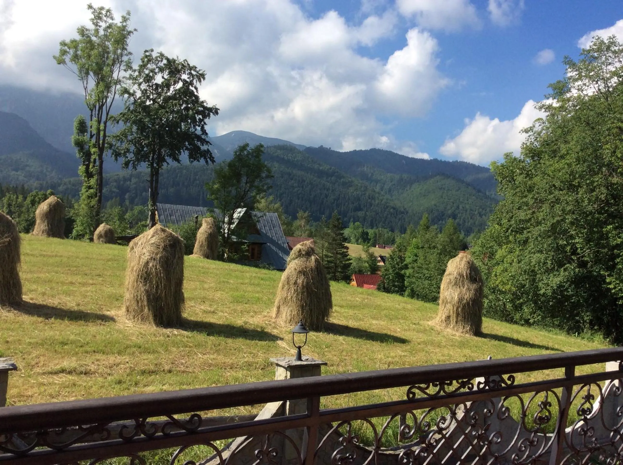 Day in Apolonia Willa