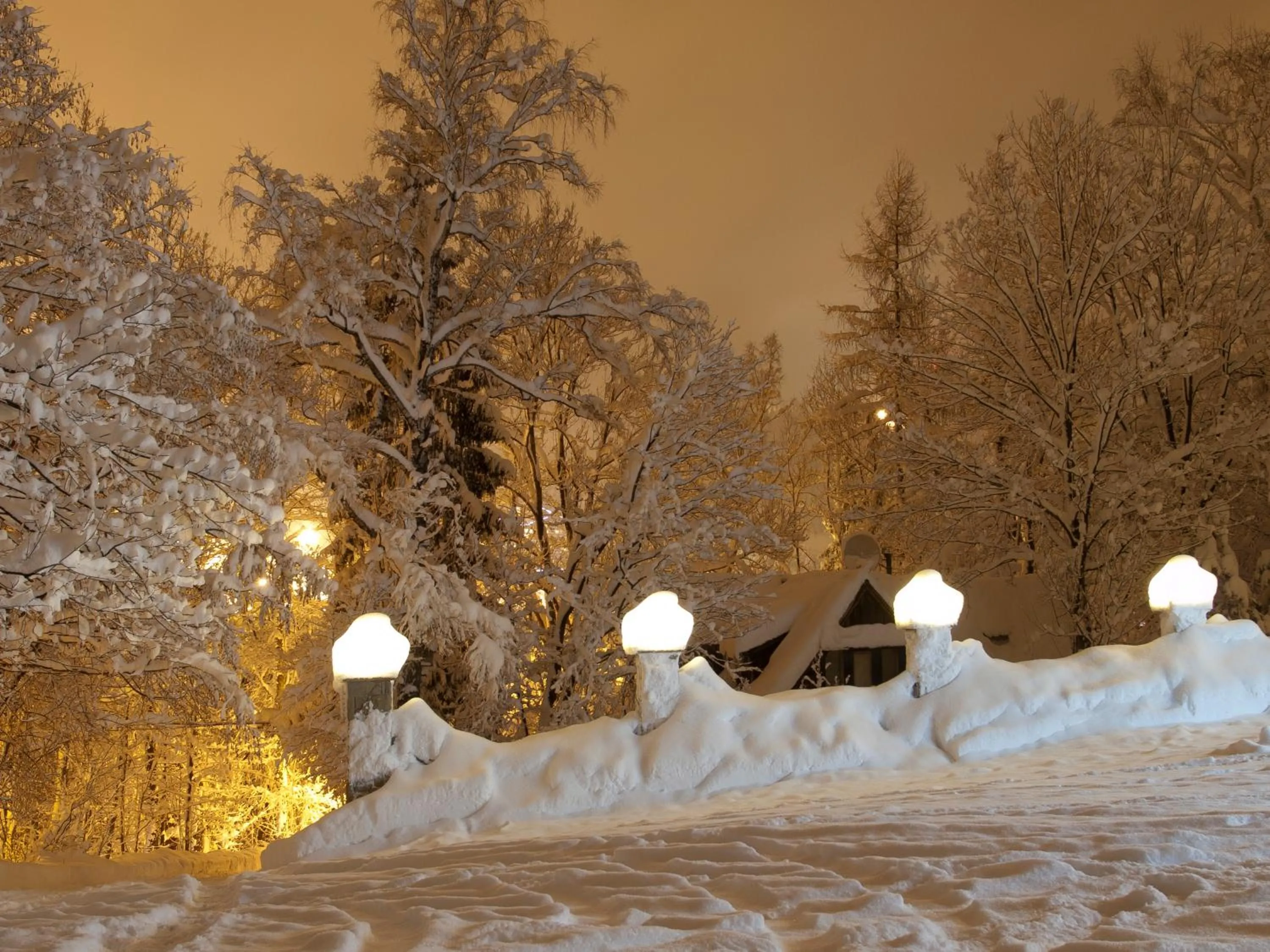 Natural landscape in Apolonia Willa