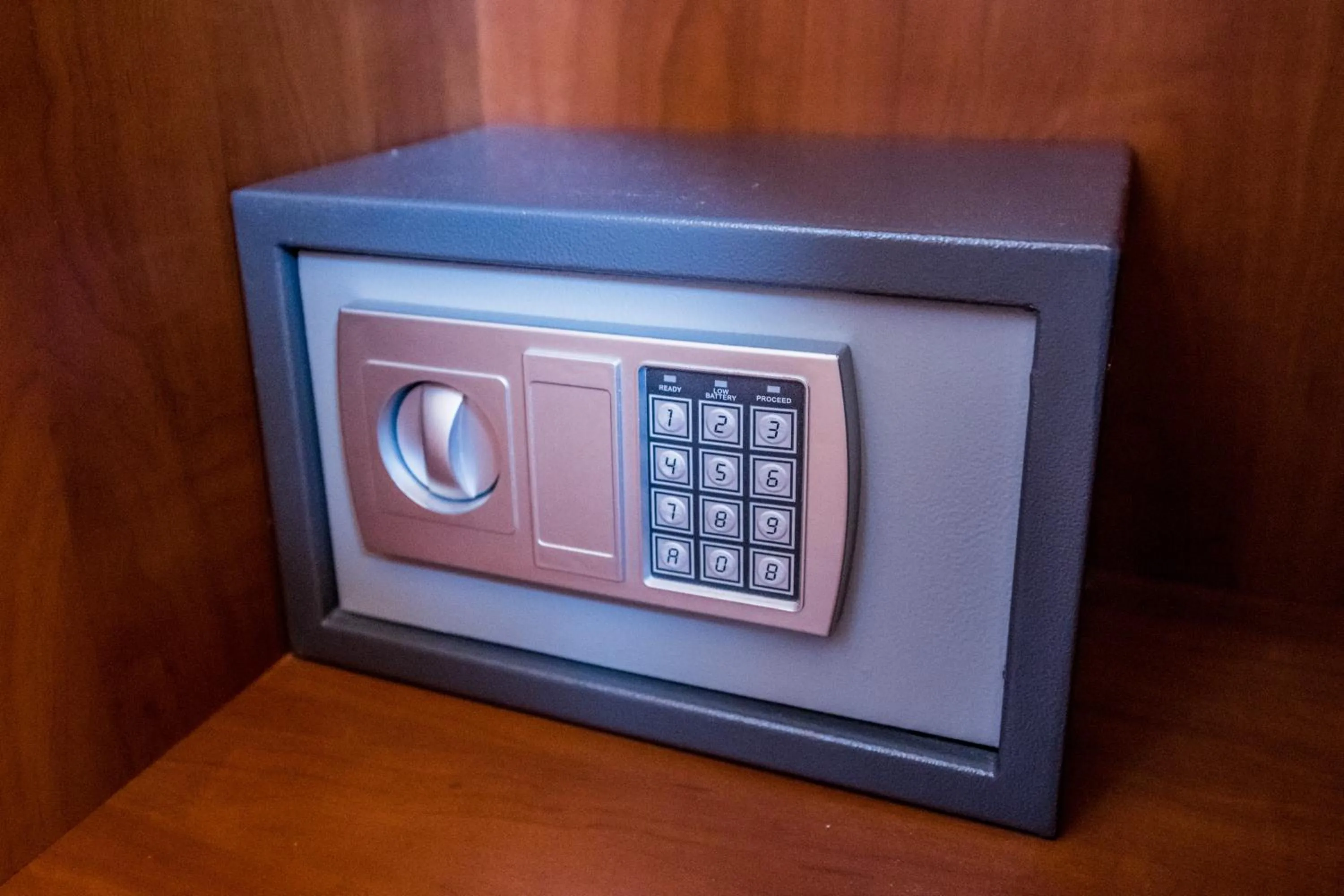 TV and multimedia in Apolonia Willa