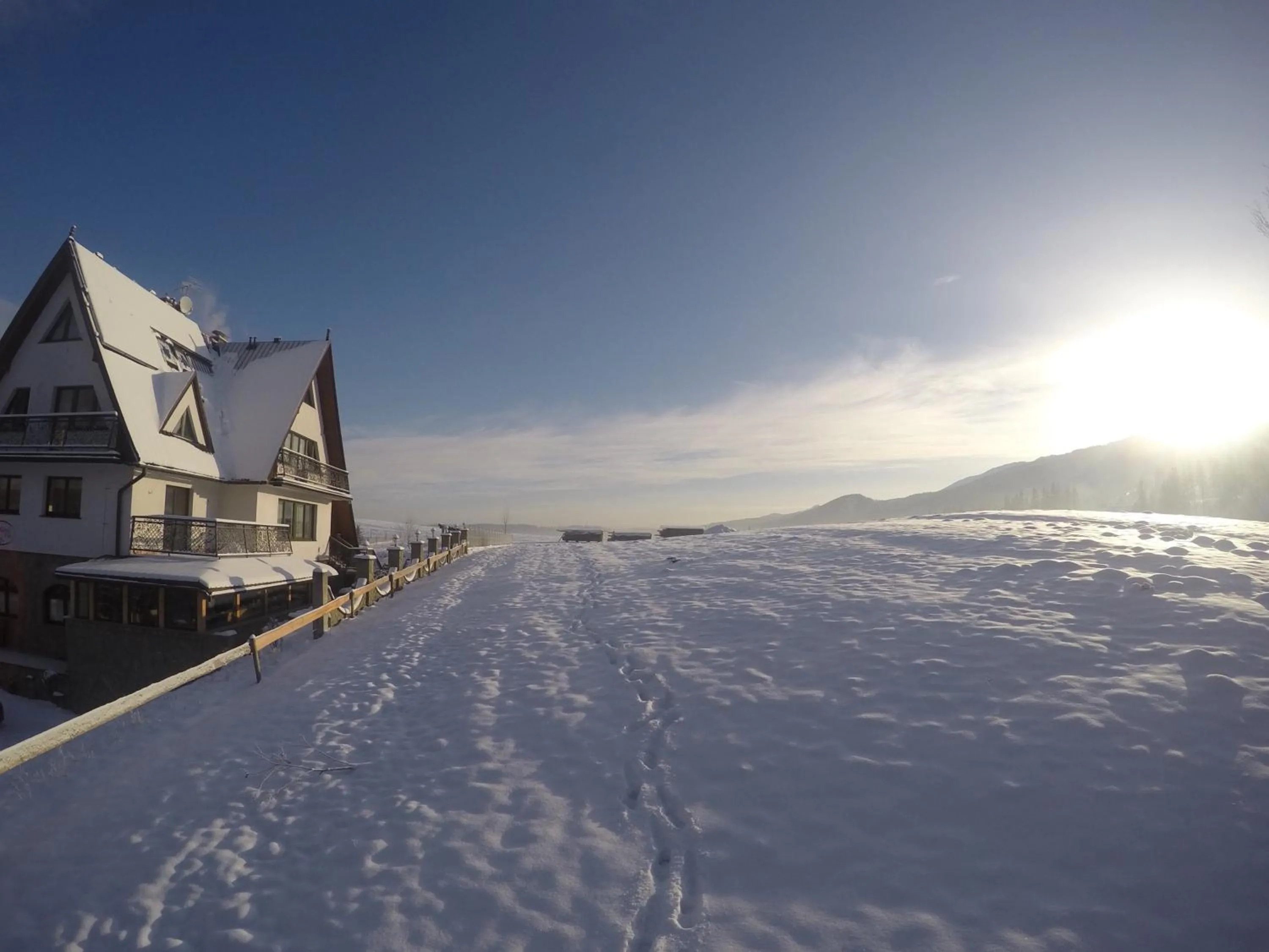 Garden in Apolonia Willa