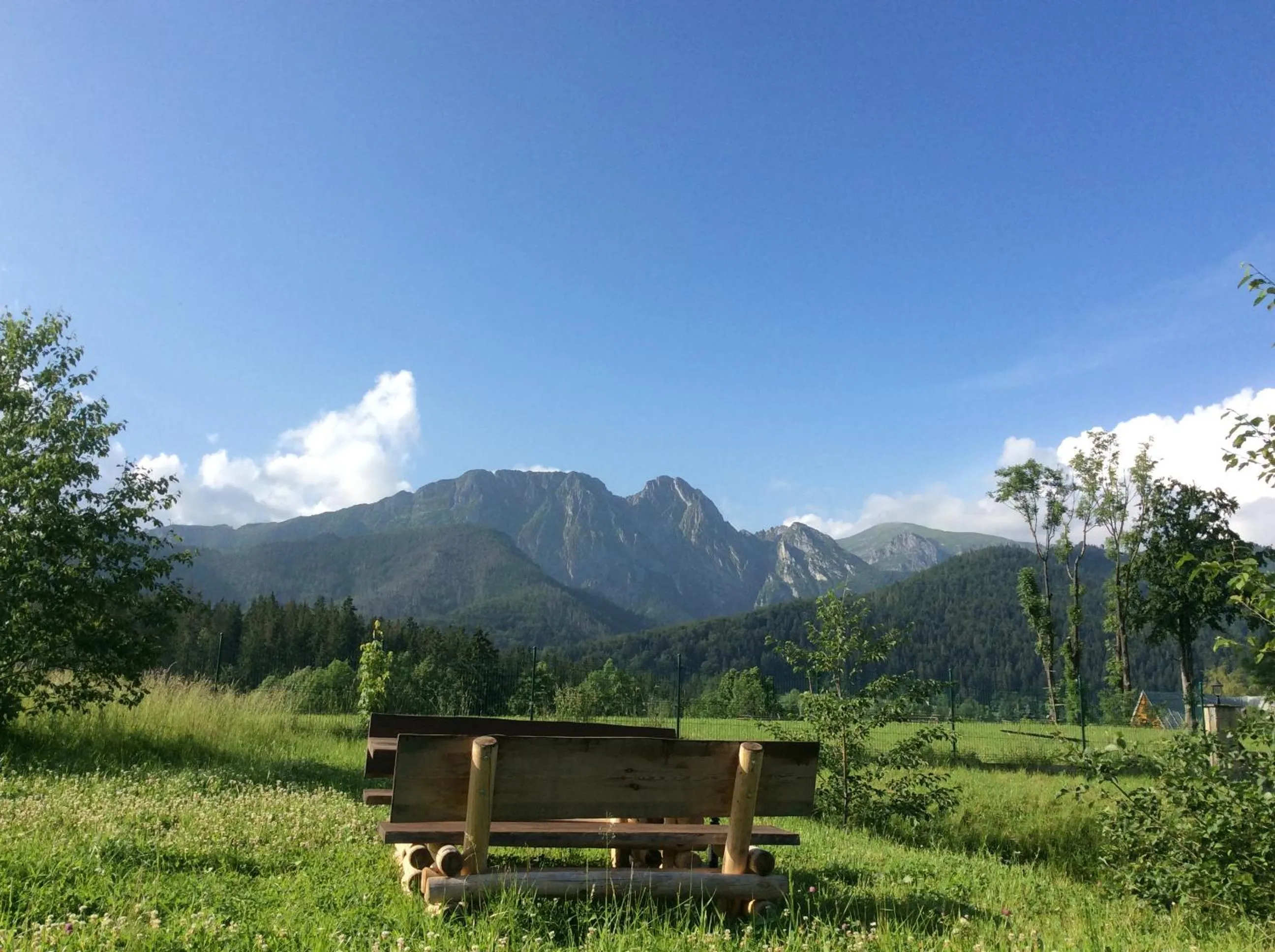 Garden in Apolonia Willa