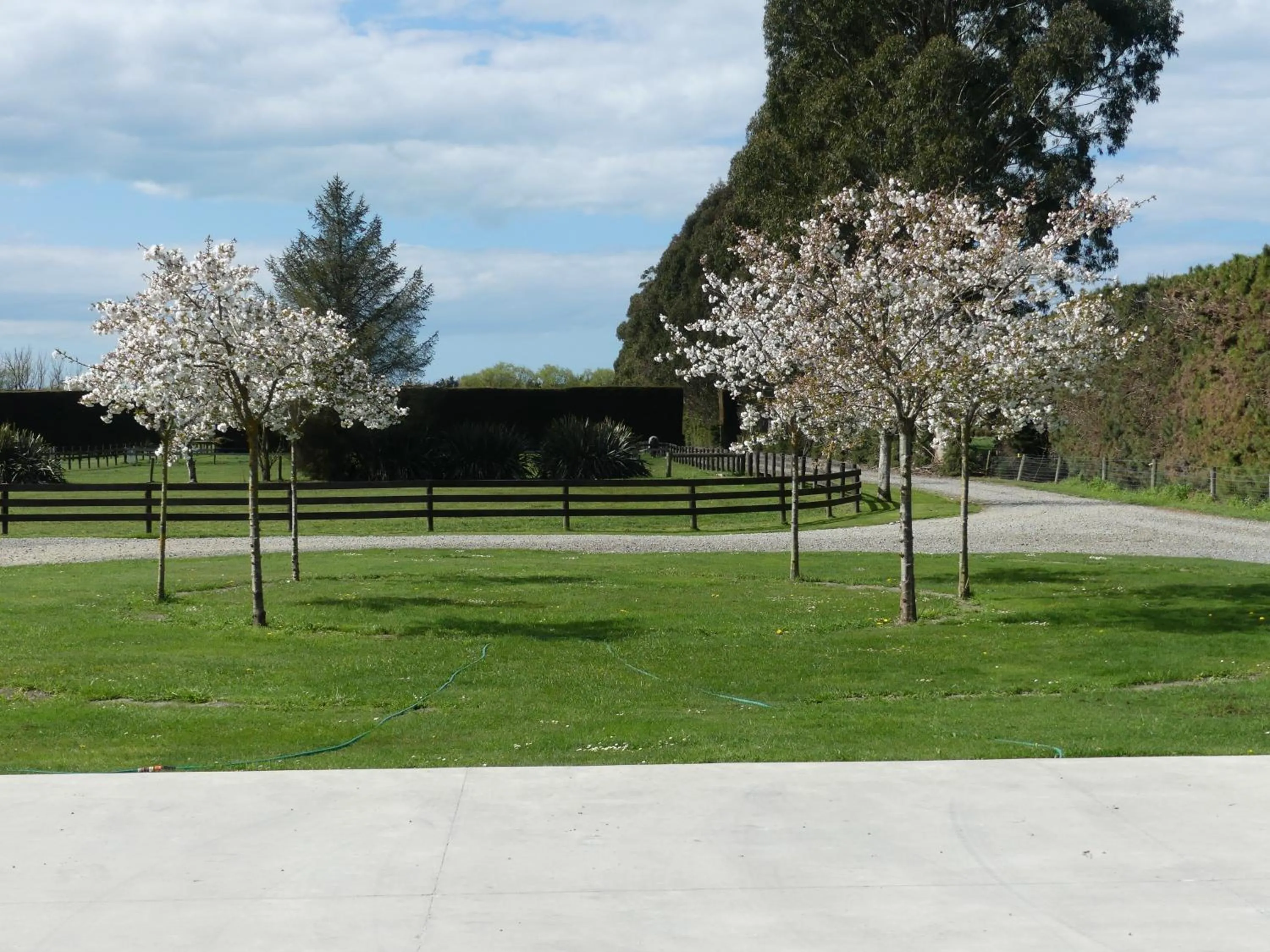 Bramley's Stables and Accommodation