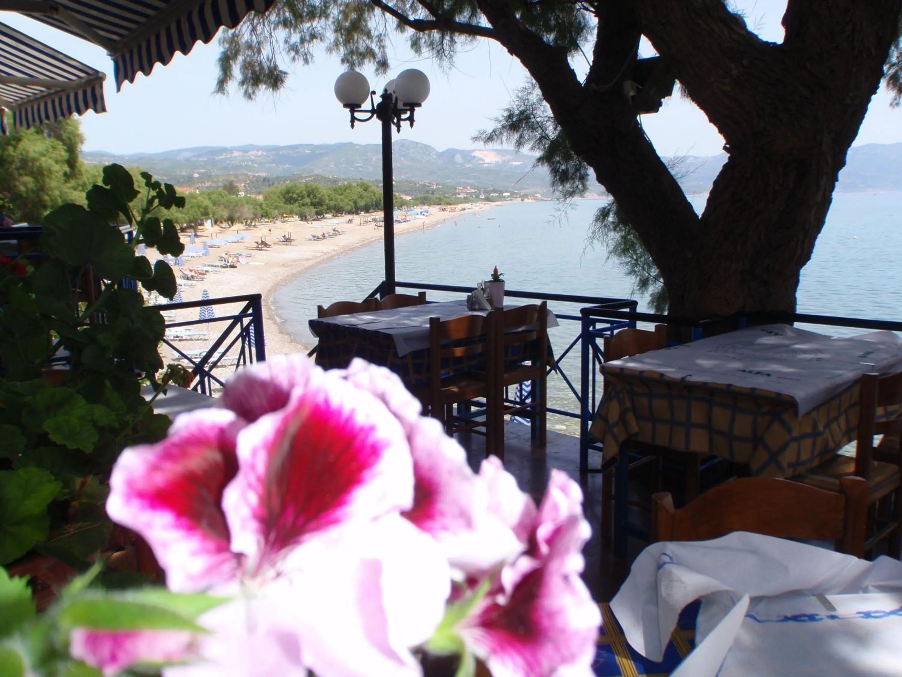 Day in Votsalakia Hotel