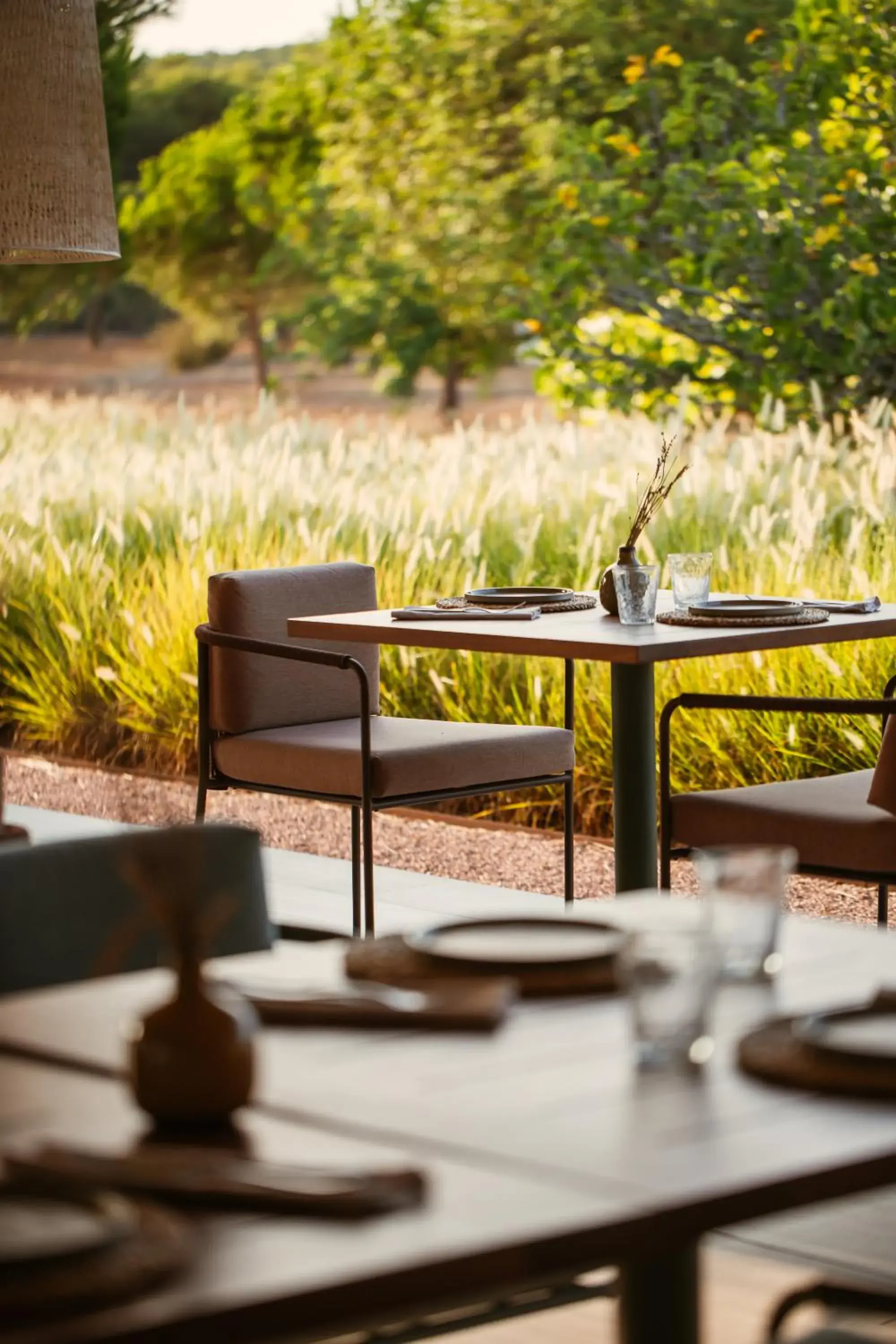 Garden view in Ca Na Xica - Hotel & Spa Garden view in Ca Na Xica - Hotel & Spa