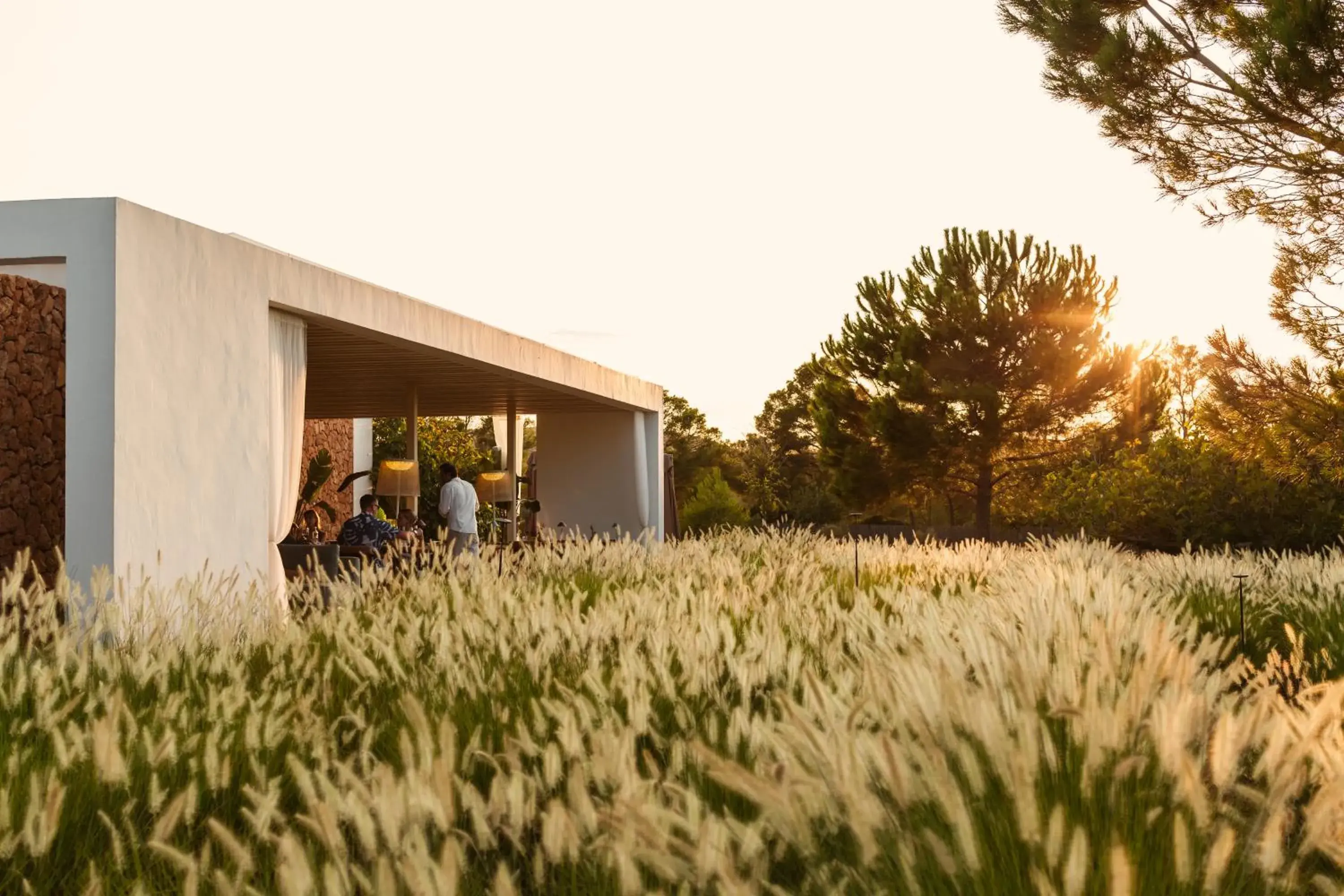 Restaurant/places to eat in Ca Na Xica - Hotel & Spa Restaurant/places to eat in Ca Na Xica - Hotel & Spa