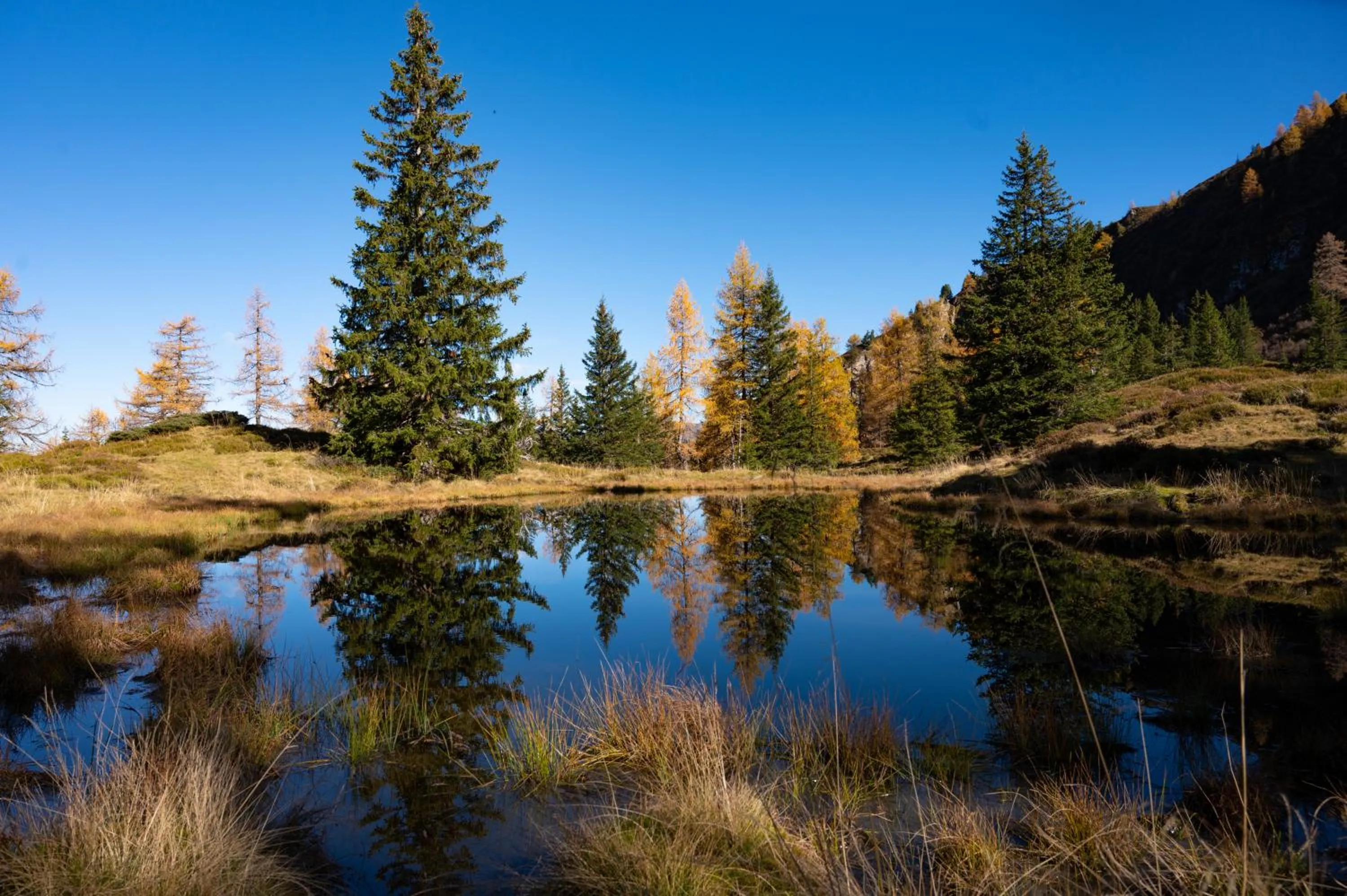 Activities in Hotel Gratz Großarl