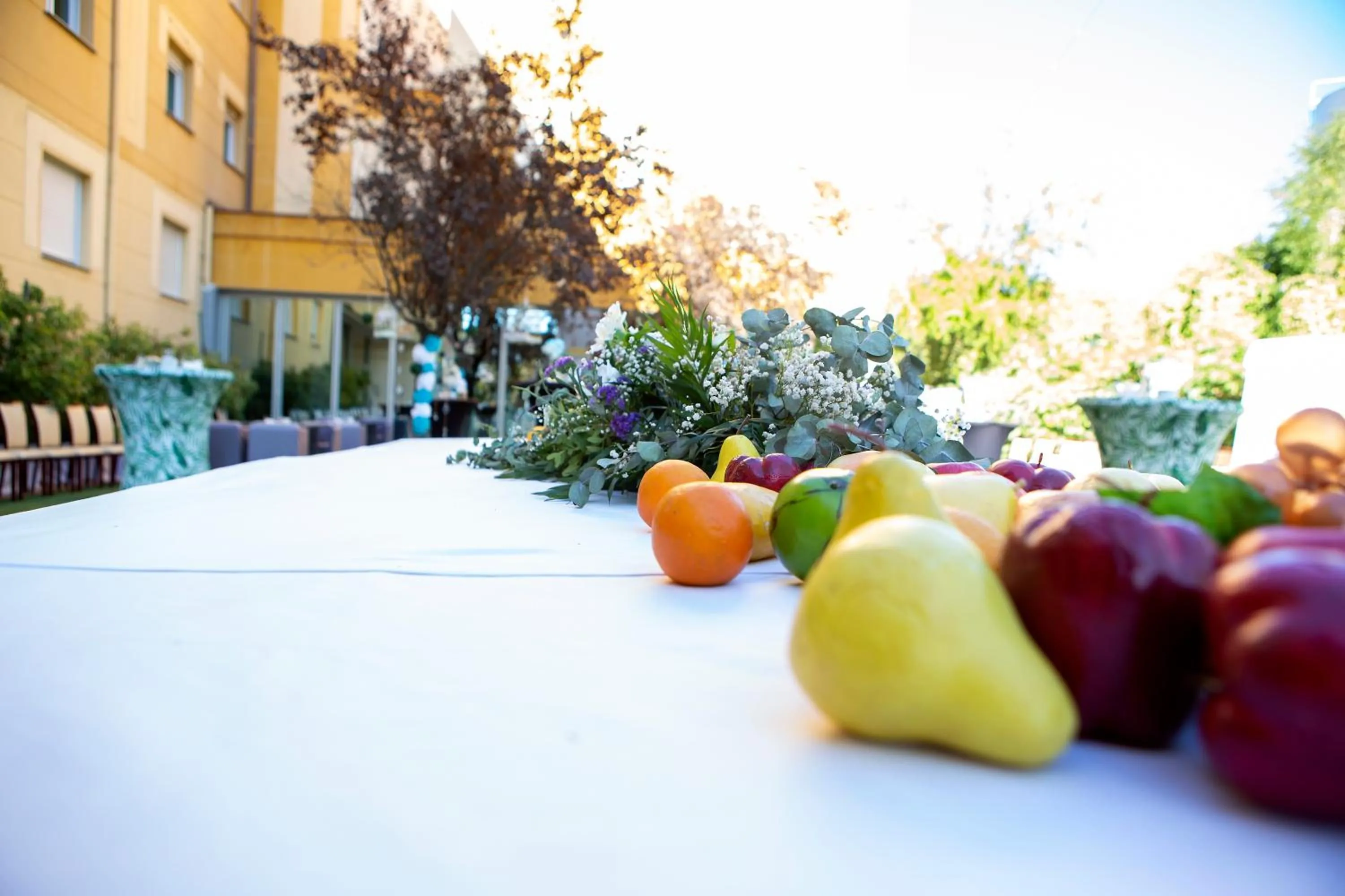 Garden in Hotel Torres I