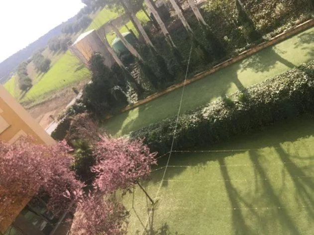 Garden in Hotel Torres I