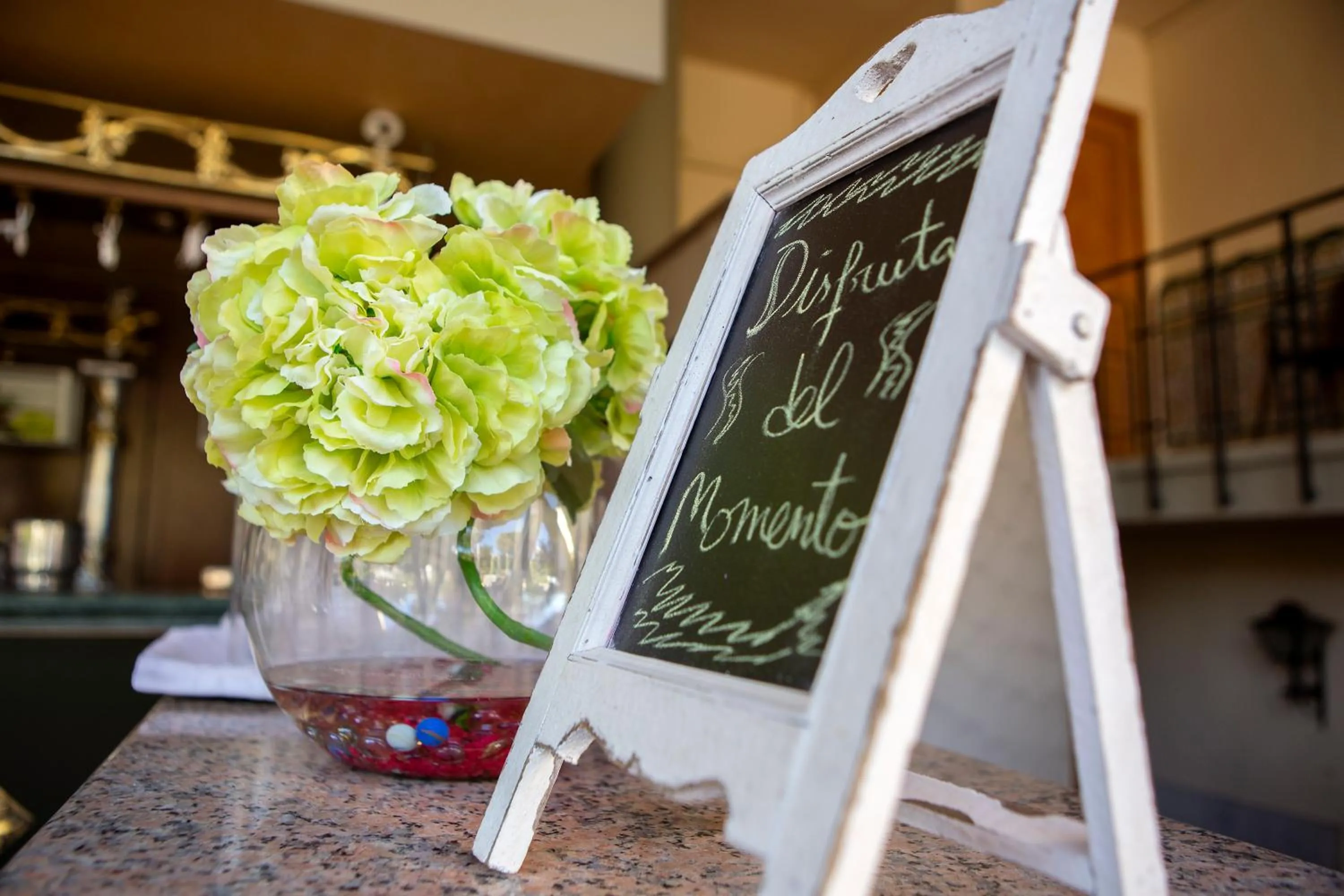 Garden in Hotel Torres I