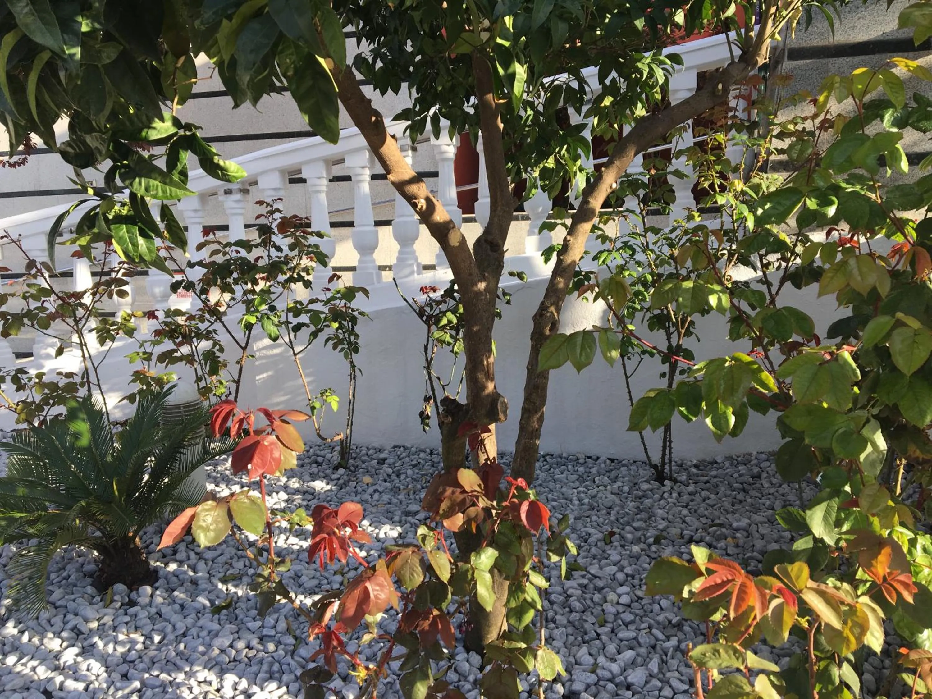 Facade/entrance in Hotel Torres I