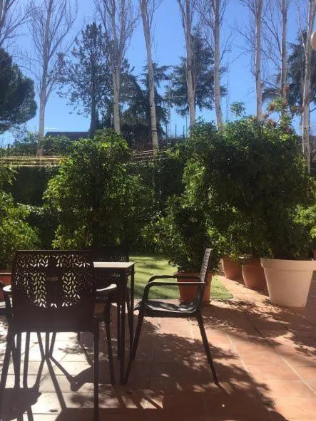 Garden in Hotel Torres I