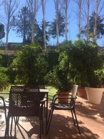 Garden in Hotel Torres I
