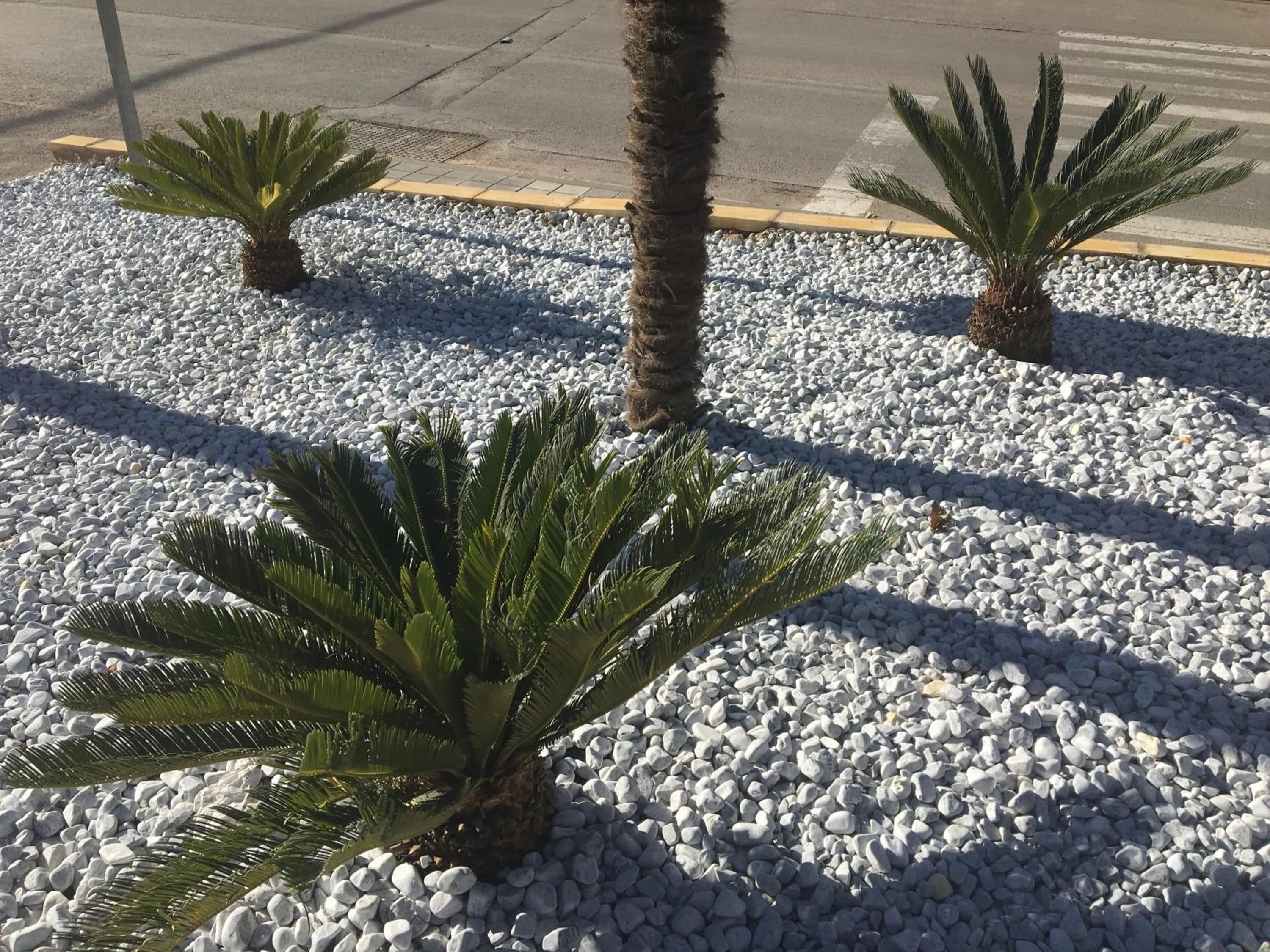 Facade/entrance in Hotel Torres I