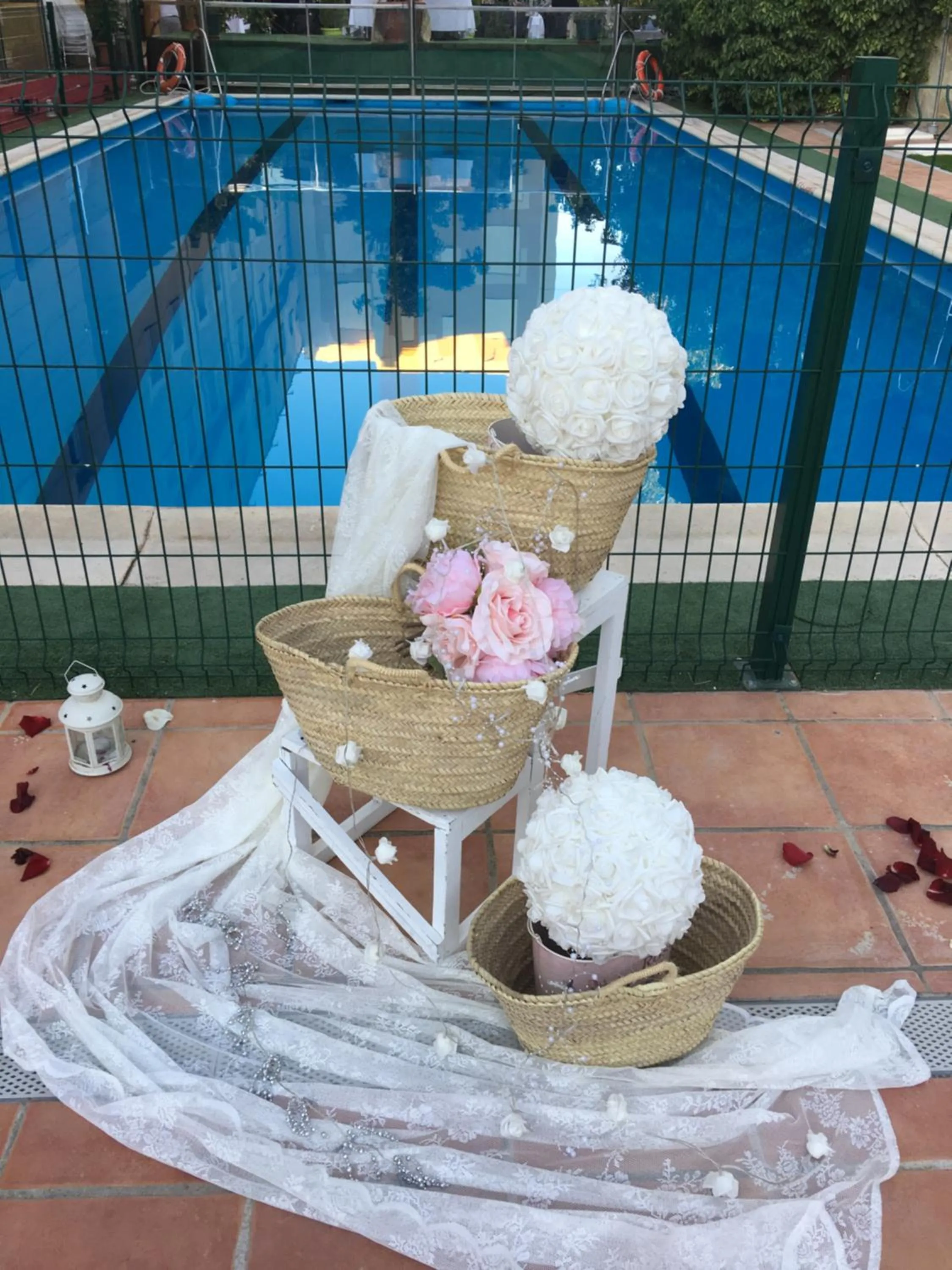 Garden in Hotel Torres I