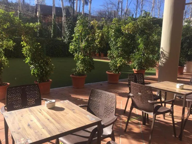 Garden in Hotel Torres I