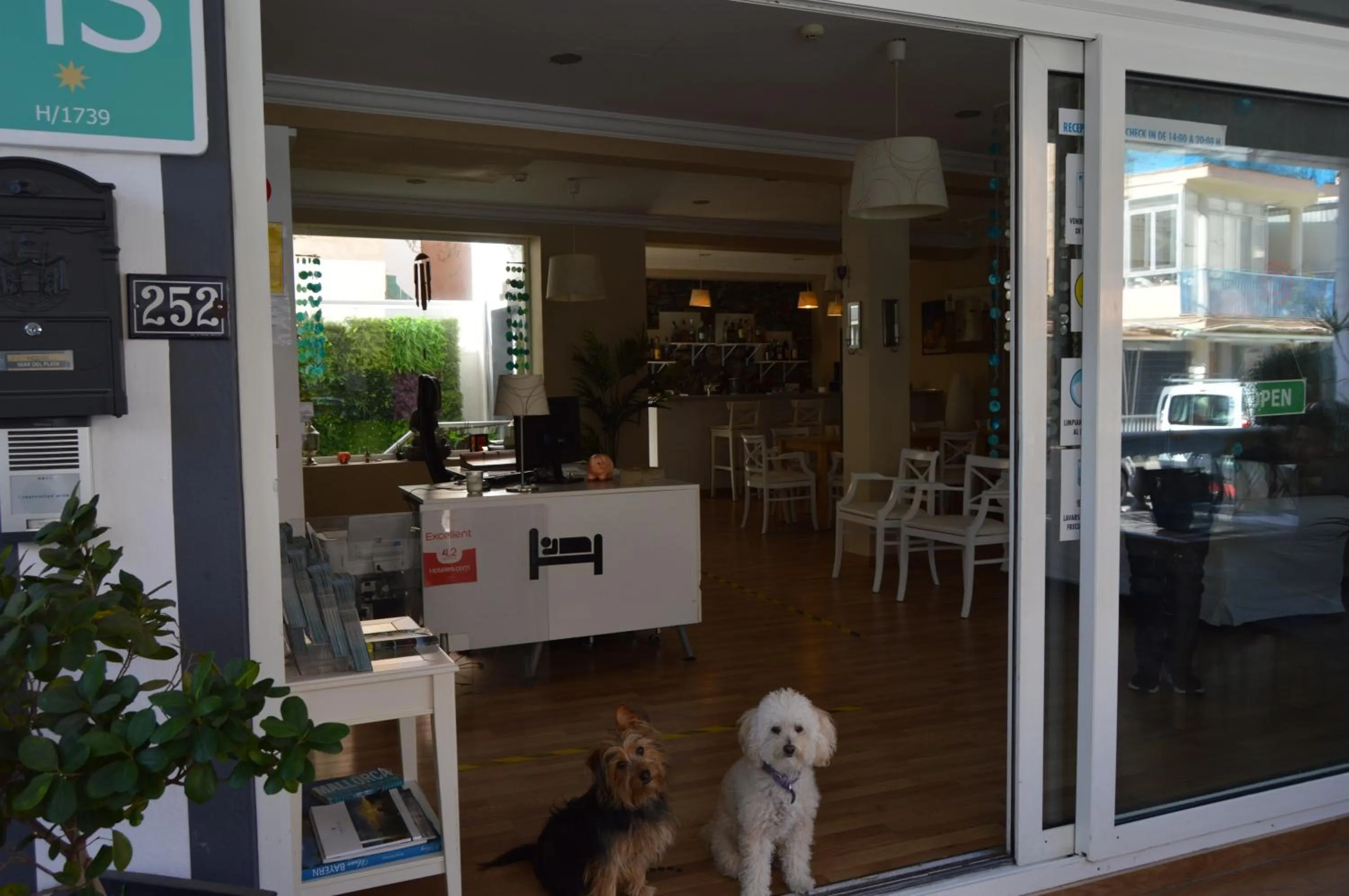 Lobby or reception in Hostal Mar del Plata