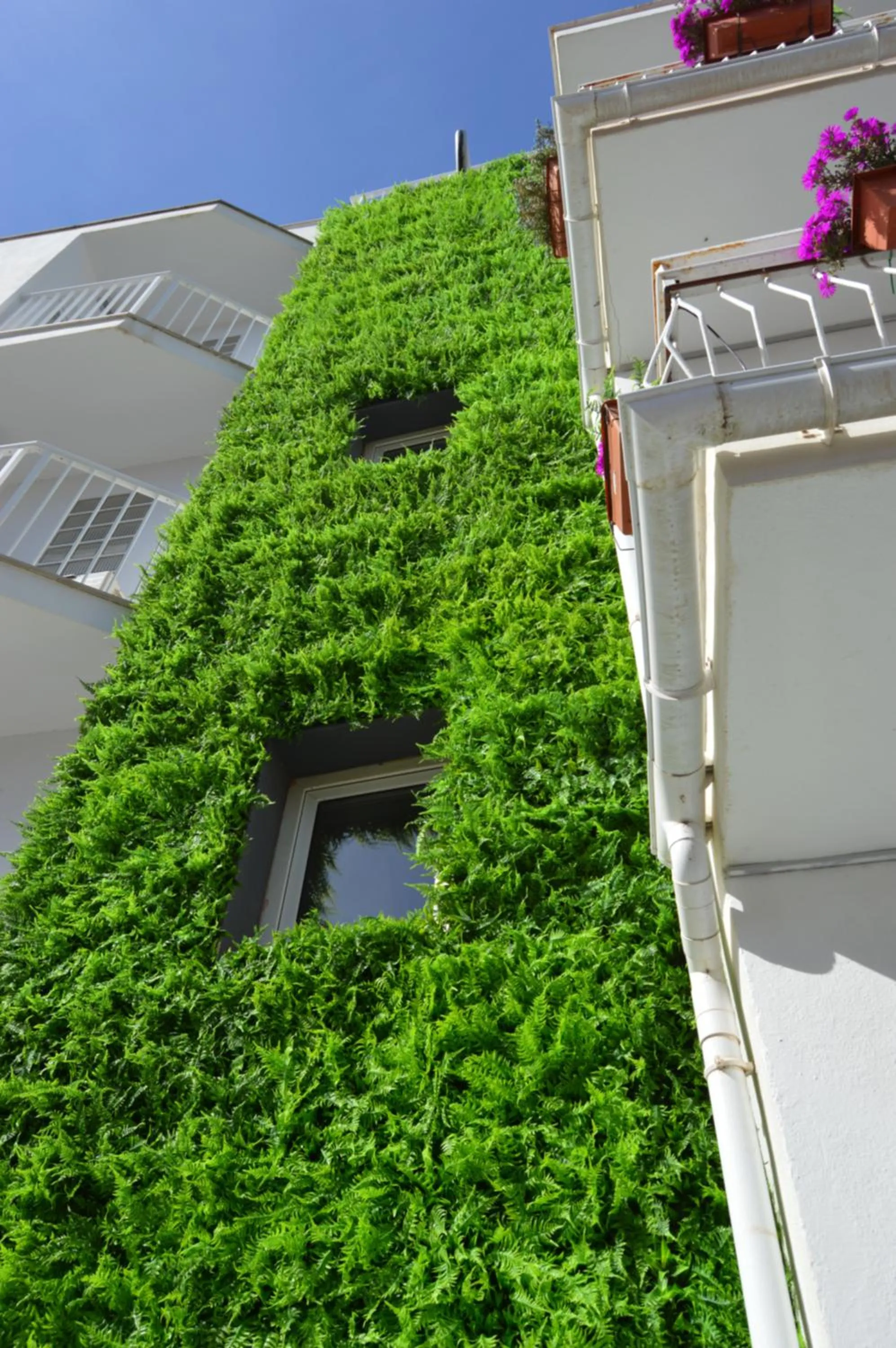 Property building in Hostal Mar del Plata