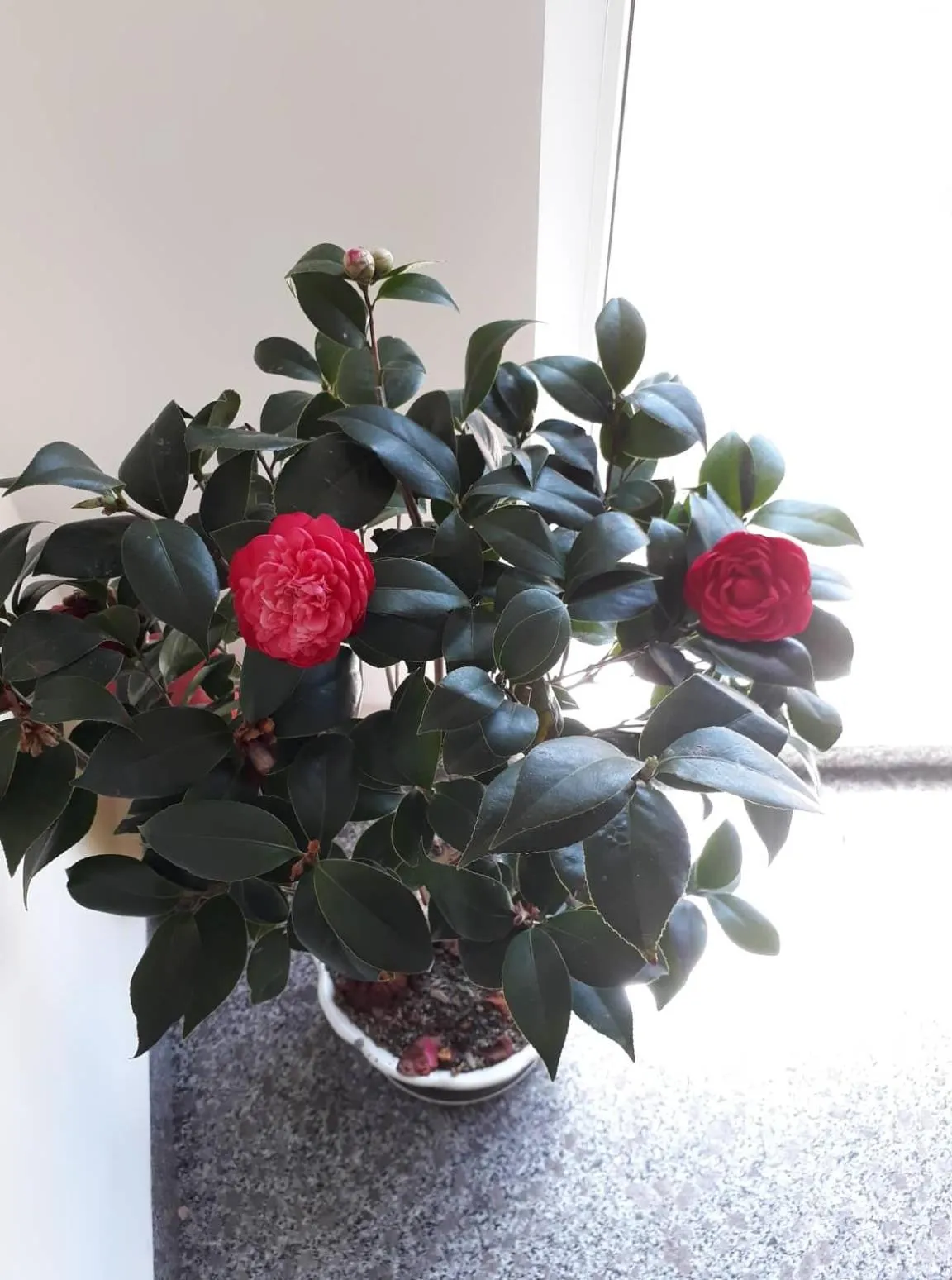 Property building in Cam Ly Homestay