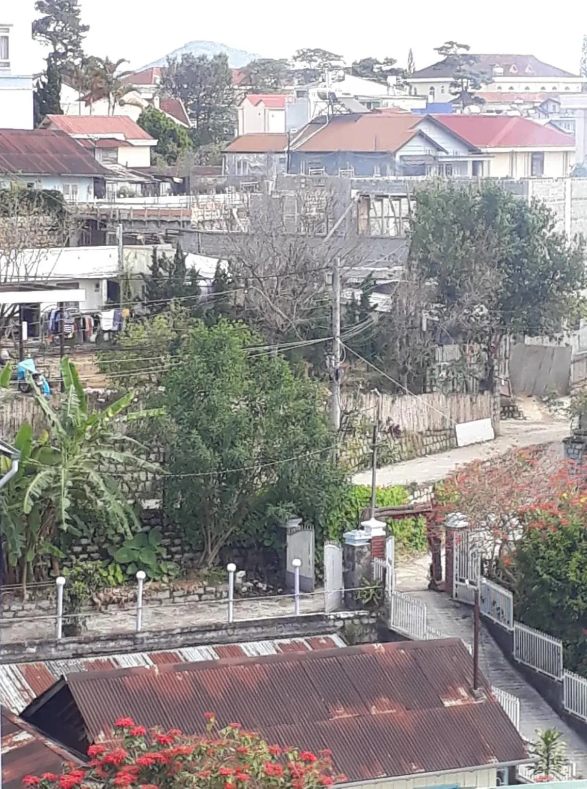 Neighbourhood in Cam Ly Homestay