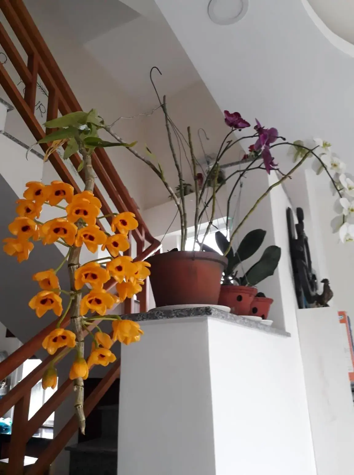 Lobby or reception in Cam Ly Homestay Lobby or reception in Cam Ly Homestay