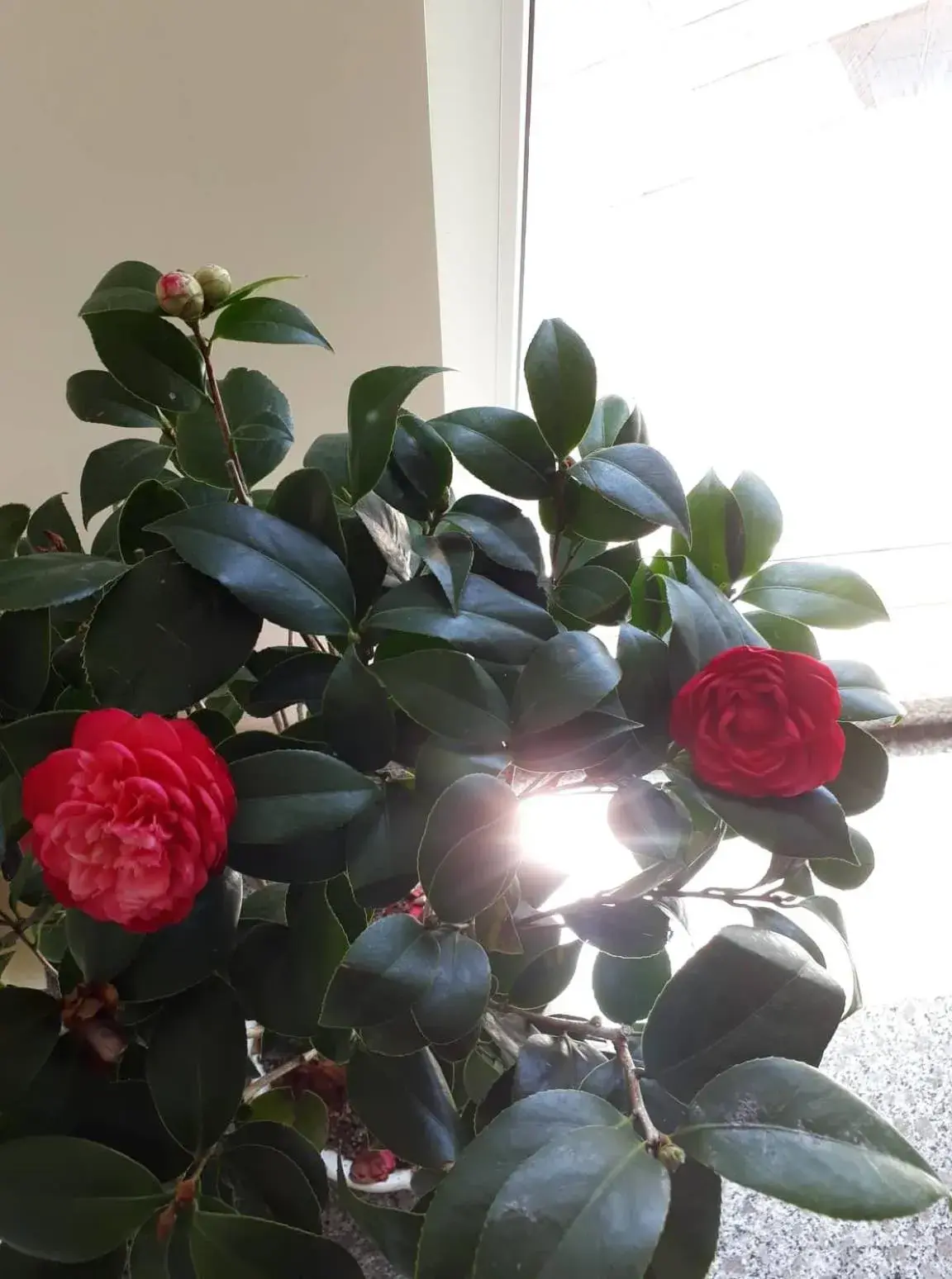 Property building in Cam Ly Homestay Property building in Cam Ly Homestay