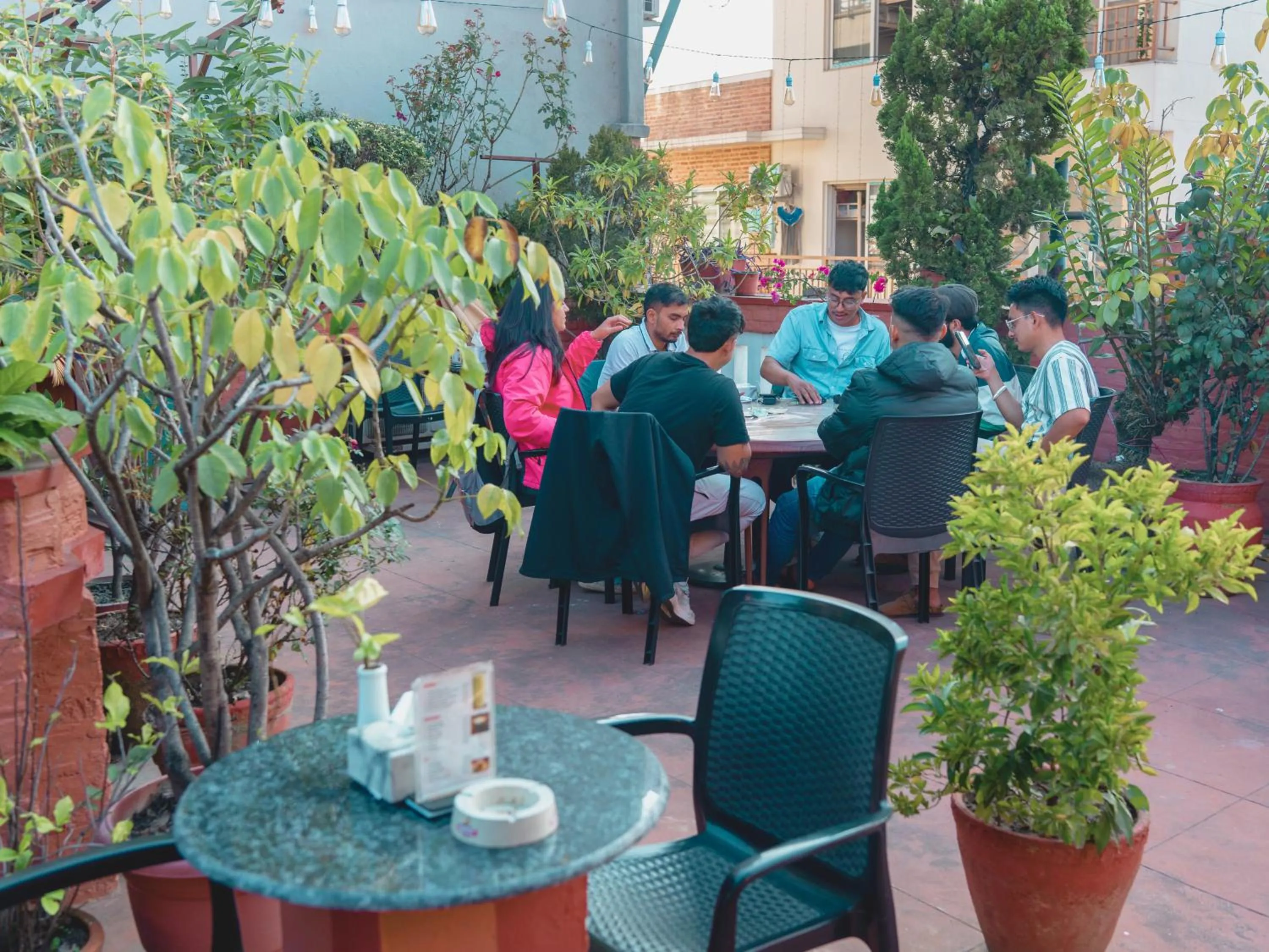 Restaurant/places to eat in Newa Home