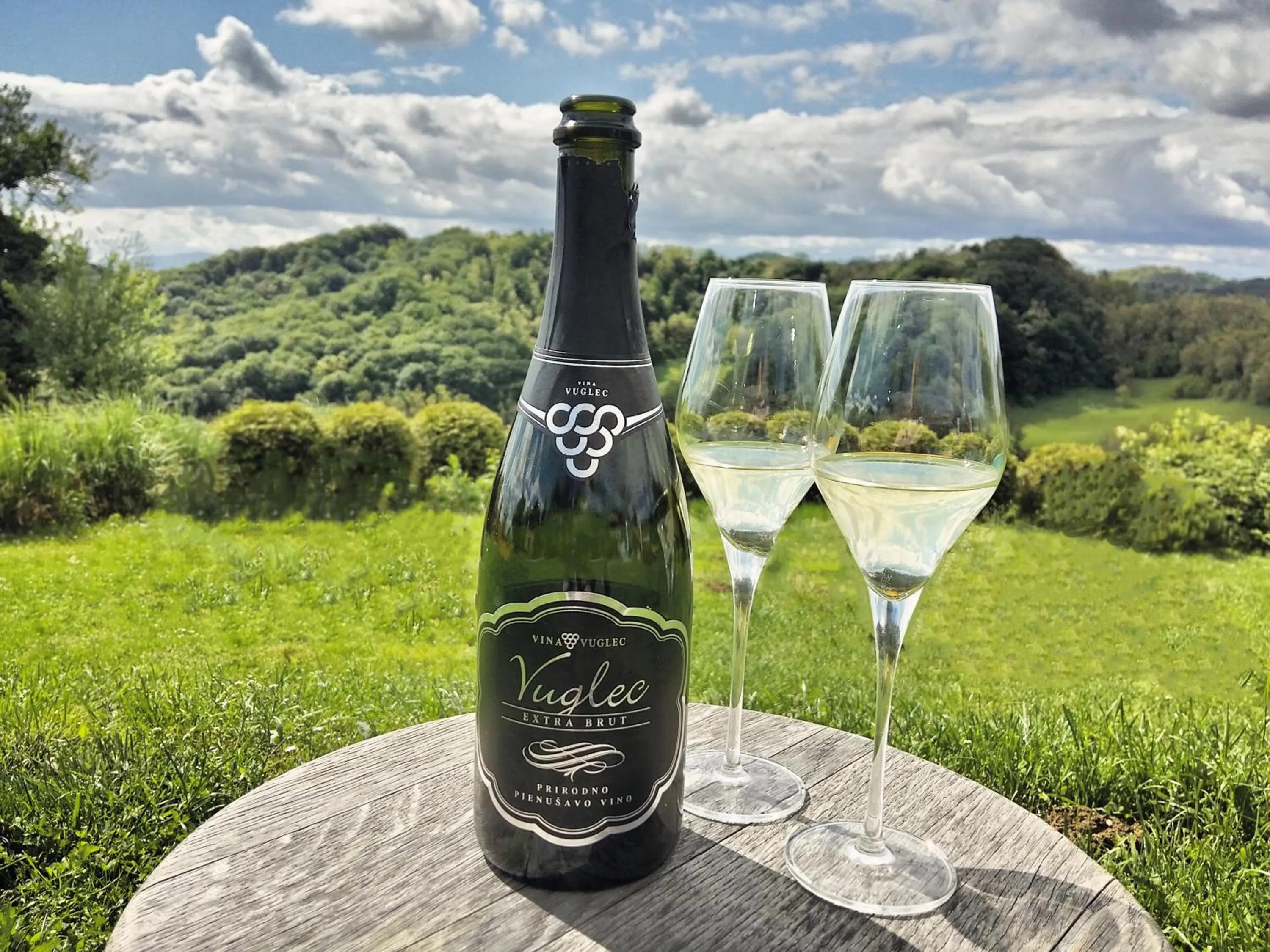 Garden in Winery, Restaurant & Pension Vuglec Breg